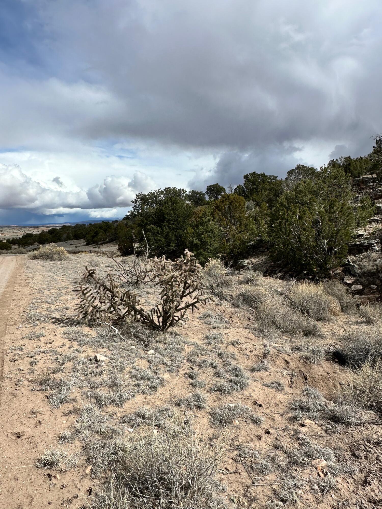 242 Acres In Prewitt, Prewitt, New Mexico 87045, ,Land,For Sale, 242 Acres In Prewitt,1058555