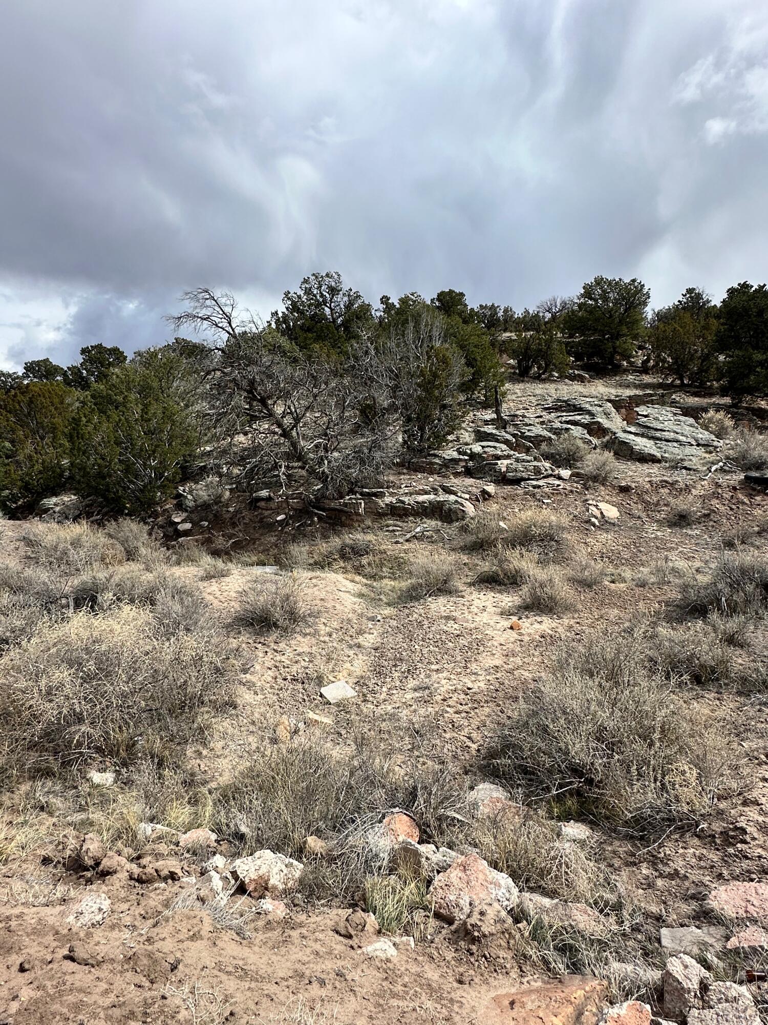 242 Acres In Prewitt, Prewitt, New Mexico 87045, ,Land,For Sale, 242 Acres In Prewitt,1058555