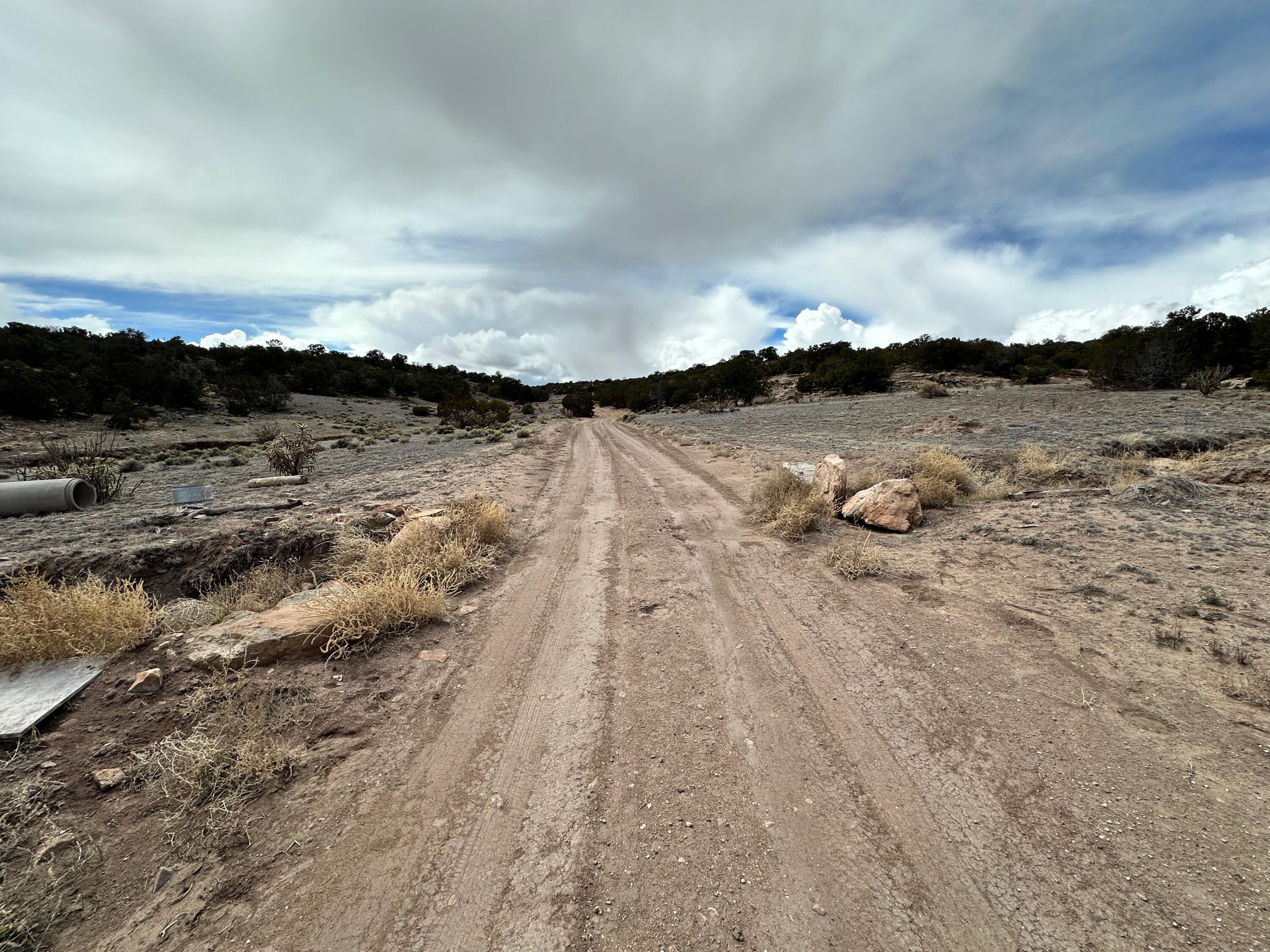 242 Acres In Prewitt, Prewitt, New Mexico 87045, ,Land,For Sale, 242 Acres In Prewitt,1058555