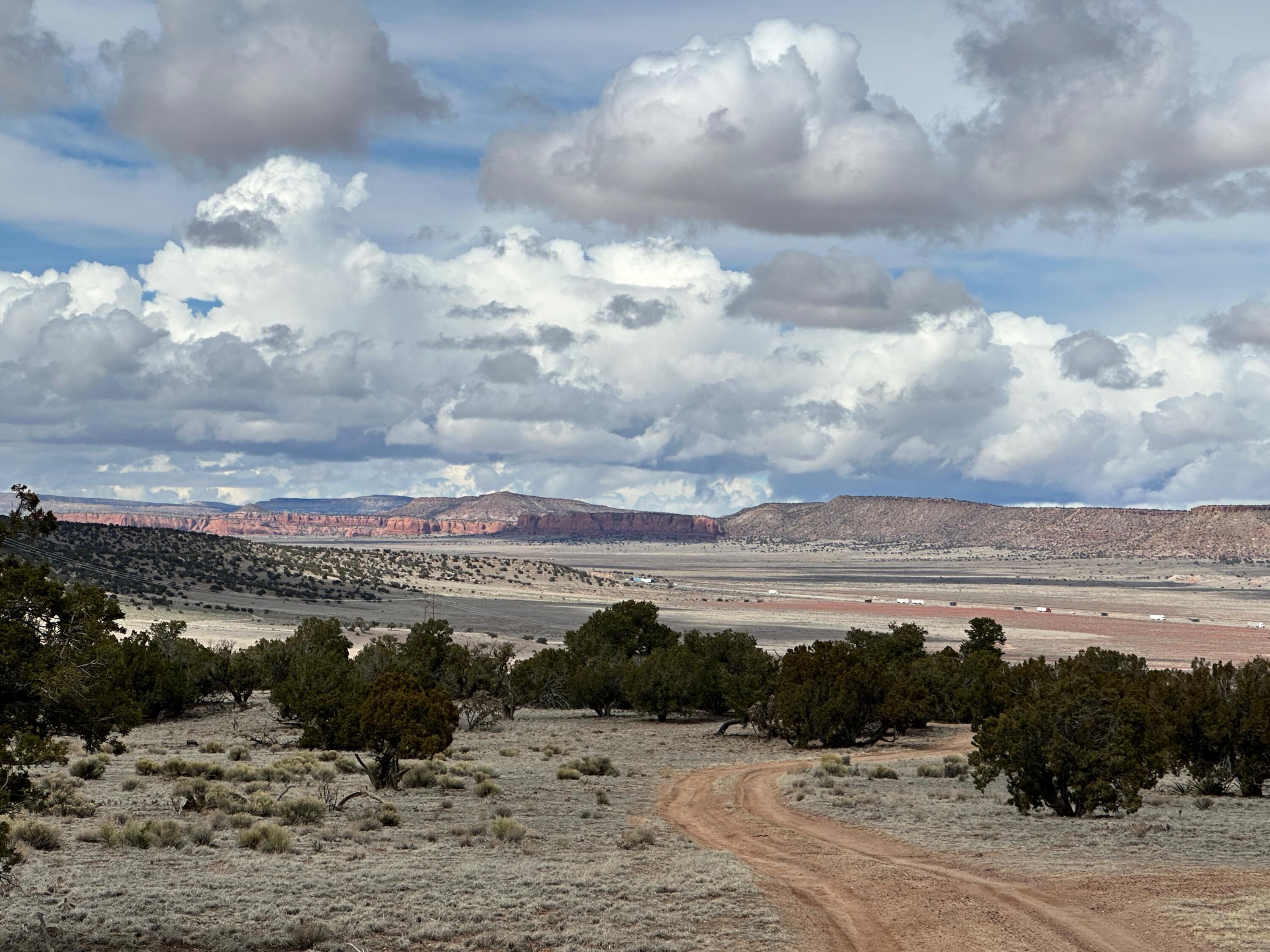 242 Acres In Prewitt, Prewitt, New Mexico 87045, ,Land,For Sale, 242 Acres In Prewitt,1058555