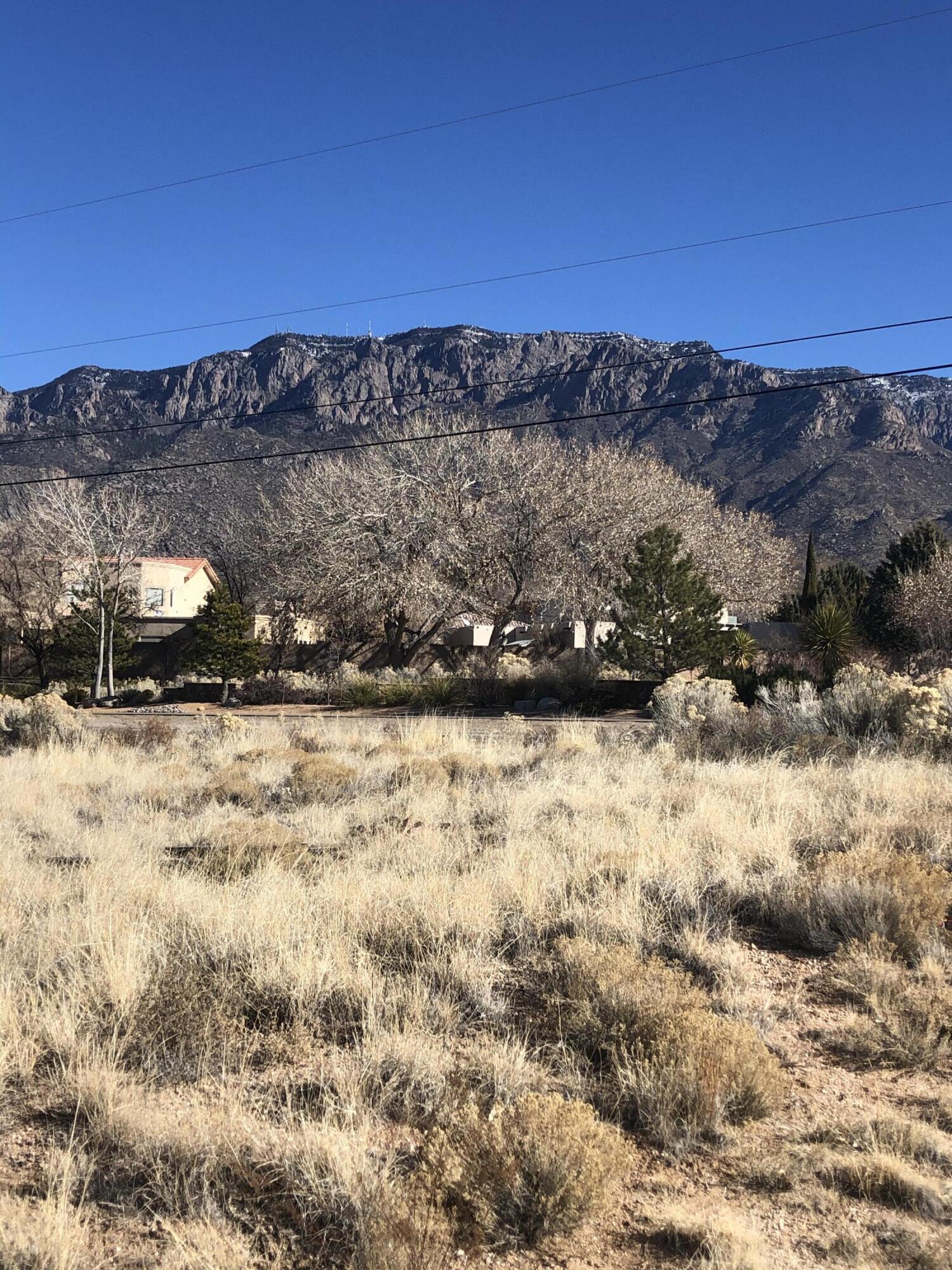 11820 Corona Avenue NE, Albuquerque, New Mexico 87122, ,Land,For Sale,11820 Corona Avenue NE,1058574