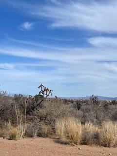 Lot 21 16th St Nw Street NW, Rio Rancho, New Mexico 87124, ,Land,For Sale,Lot 21 16th St Nw Street NW,1058614
