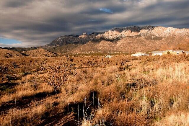 Elena Drive NW, Albuquerque, New Mexico 87122, ,Land,For Sale, Elena Drive NW,1058617