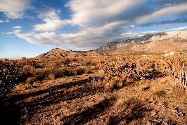 Elena Drive NW, Albuquerque, New Mexico 87122, ,Land,For Sale, Elena Drive NW,1058617