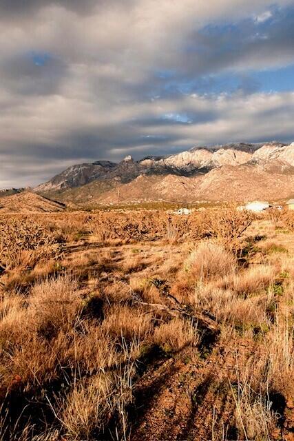 Elena Drive NW, Albuquerque, New Mexico 87122, ,Land,For Sale, Elena Drive NW,1058617