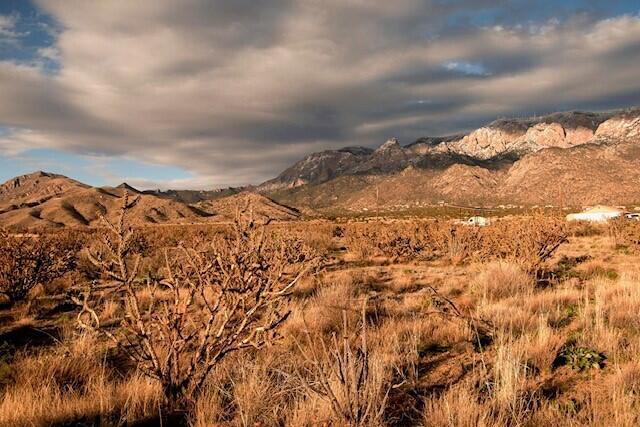 Elena Drive NW, Albuquerque, New Mexico 87122, ,Land,For Sale, Elena Drive NW,1058617