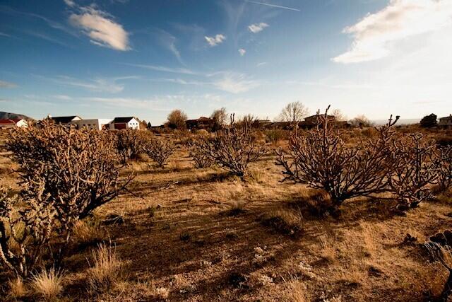 Elena Drive NW, Albuquerque, New Mexico 87122, ,Land,For Sale, Elena Drive NW,1058617