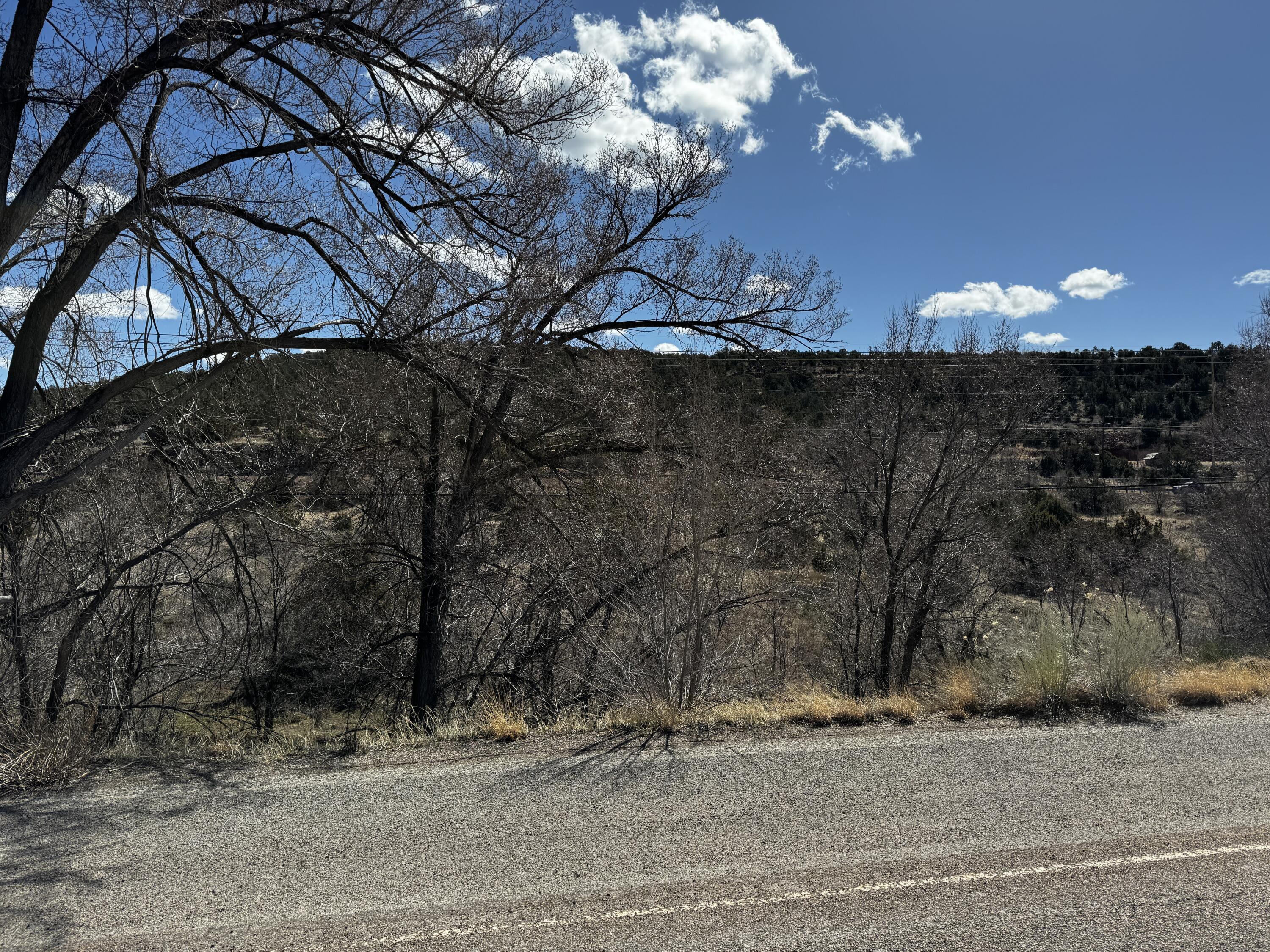Nm 333, Tijeras, New Mexico 87059, ,Land,For Sale, Nm 333,1058631
