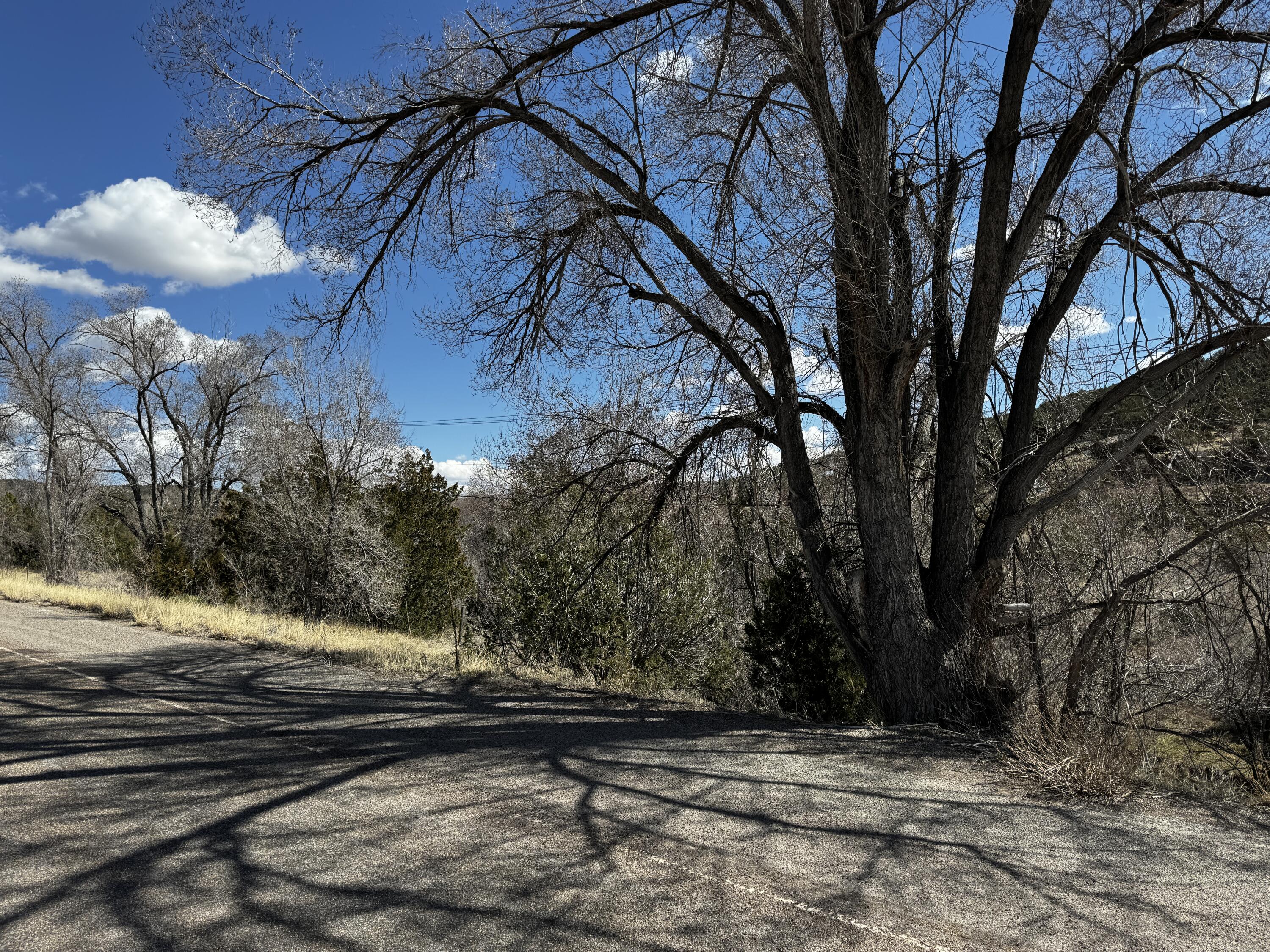 Nm 333, Tijeras, New Mexico 87059, ,Land,For Sale, Nm 333,1058631