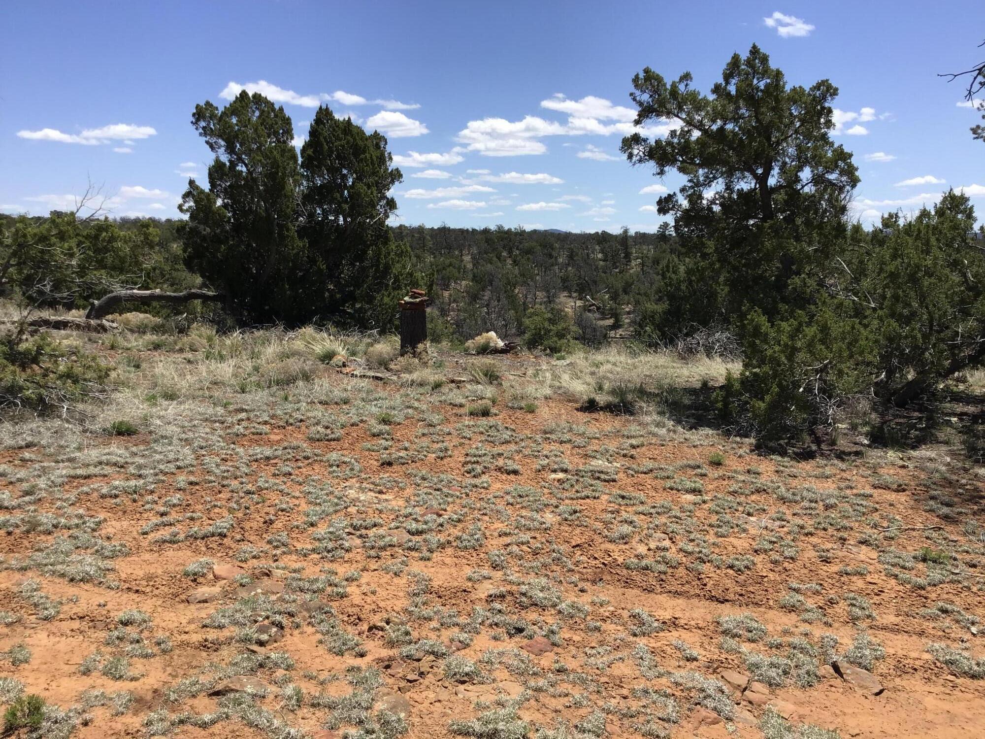 Lot 207 Meadow Drive, Ramah, New Mexico 87321, ,Land,For Sale,Lot 207 Meadow Drive,1059202