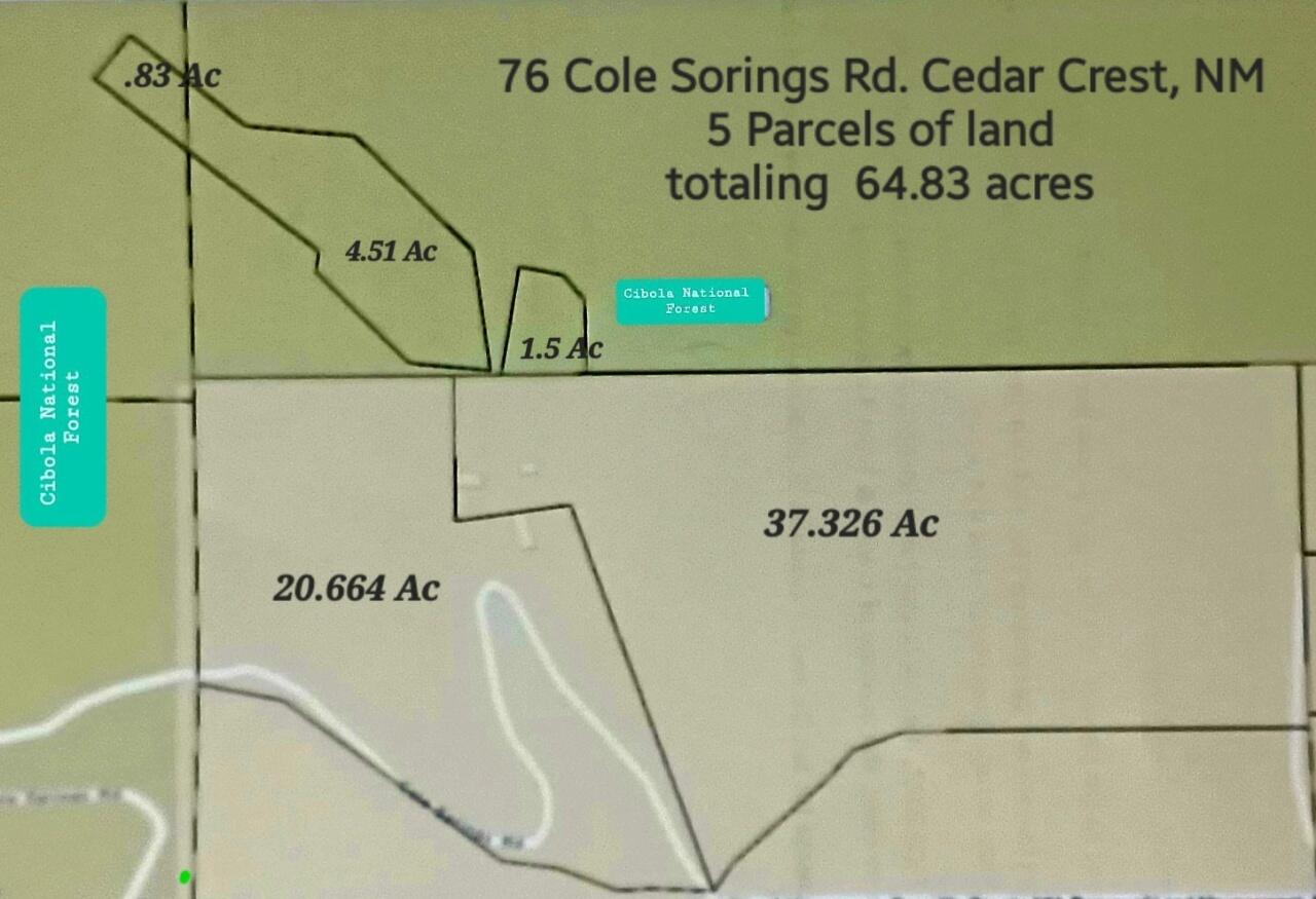 76 Cole Springs Road, Cedar Crest, New Mexico 87008, 3 Bedrooms Bedrooms, ,2 BathroomsBathrooms,Residential,For Sale,76 Cole Springs Road,1058987