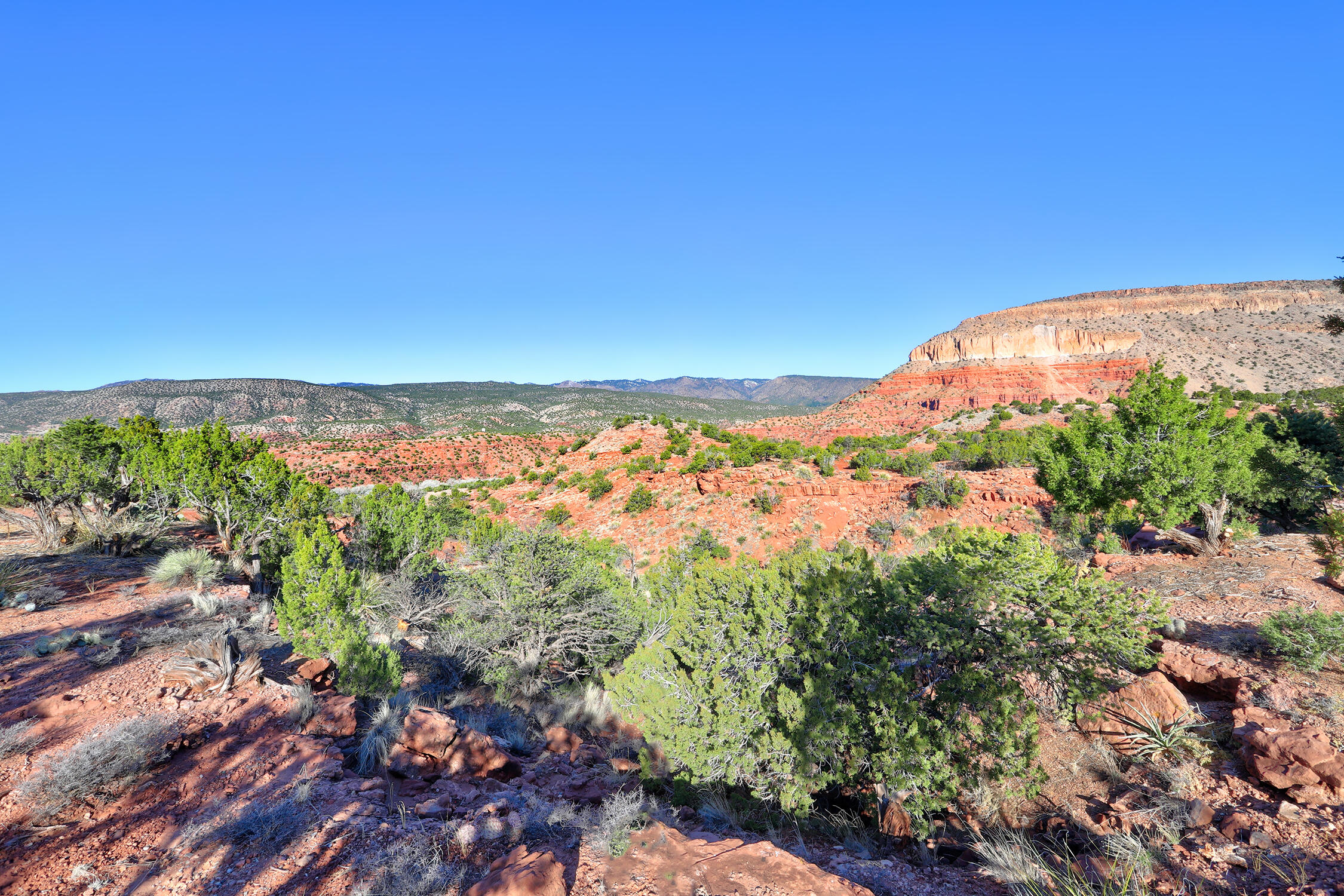 75 Culebra Road, Jemez Pueblo, New Mexico 87024, 5 Bedrooms Bedrooms, ,3 BathroomsBathrooms,Residential,For Sale,75 Culebra Road,1059465