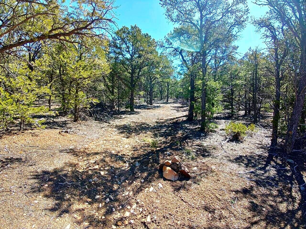 Middle Road, Questa, New Mexico 87556, ,Land,For Sale, Middle Road,1059509