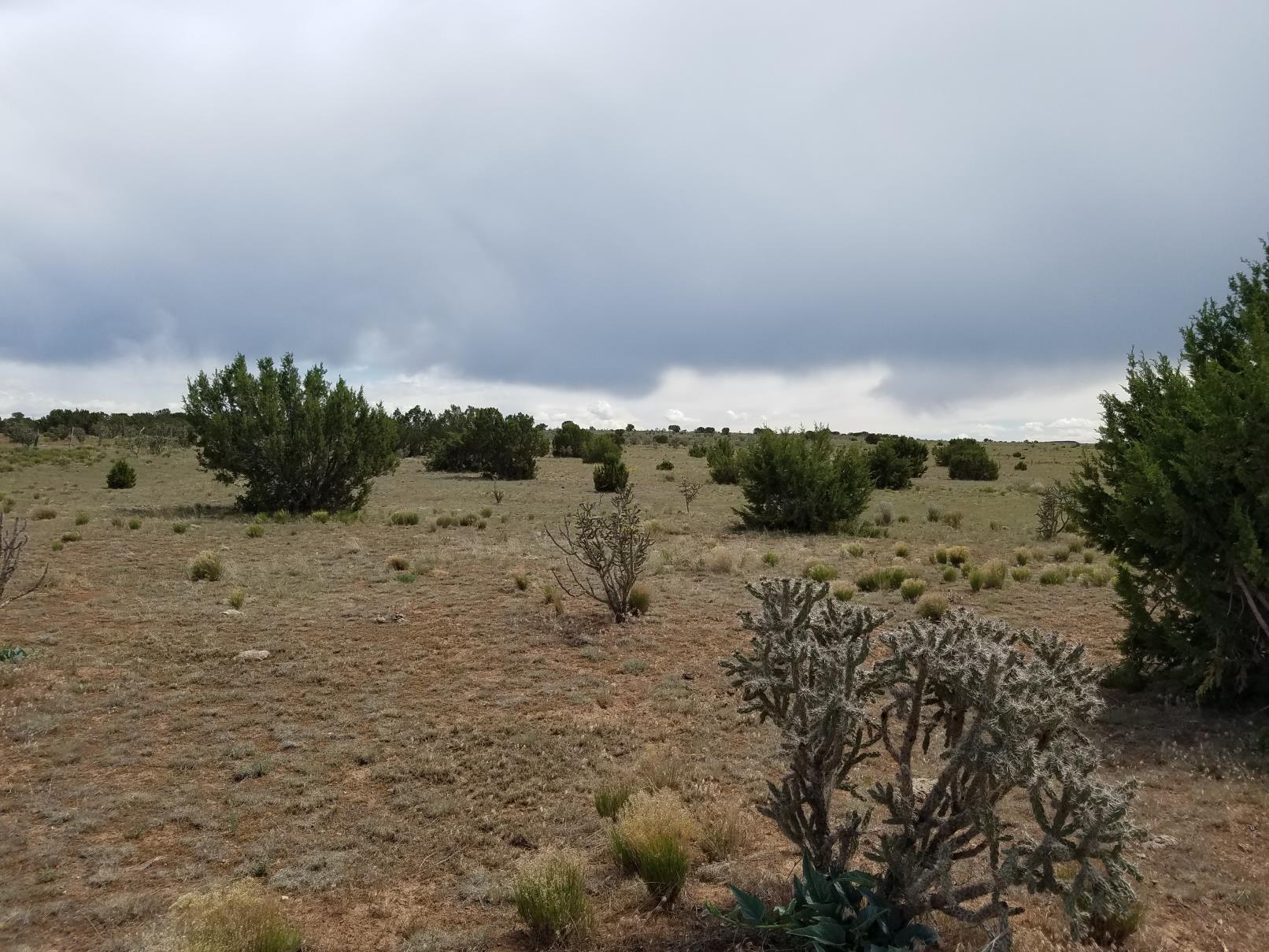 Flattop Road, Mountainair, New Mexico 87036, ,Land,For Sale, Flattop Road,1059522