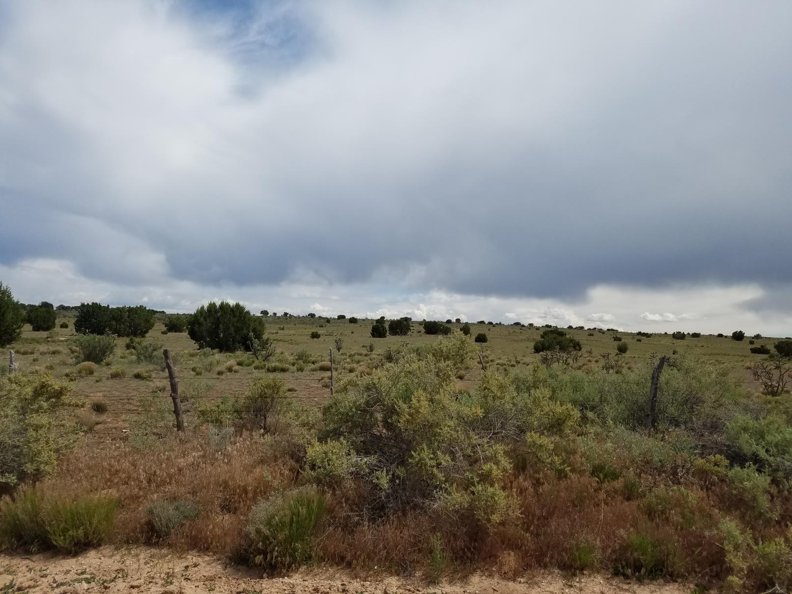 Flattop Road, Mountainair, New Mexico 87036, ,Land,For Sale, Flattop Road,1059522