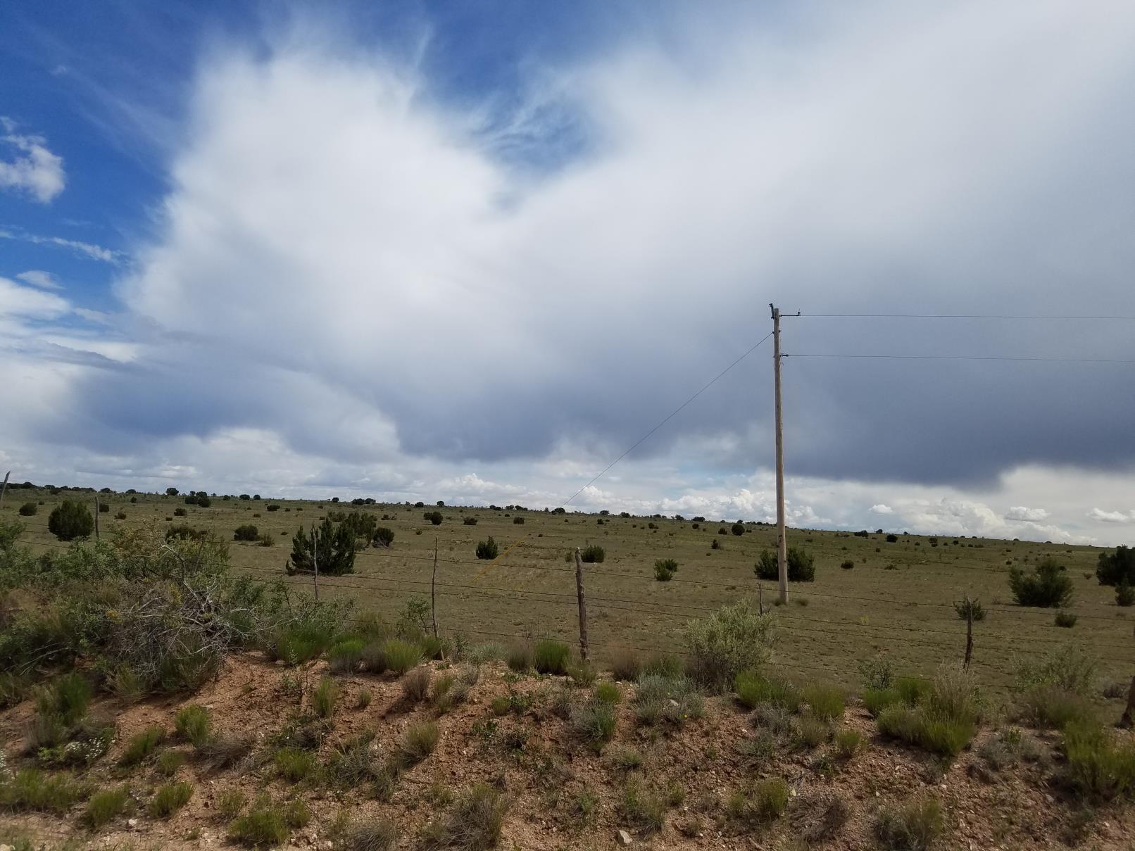 Flattop Road, Mountainair, New Mexico 87036, ,Land,For Sale, Flattop Road,1059522