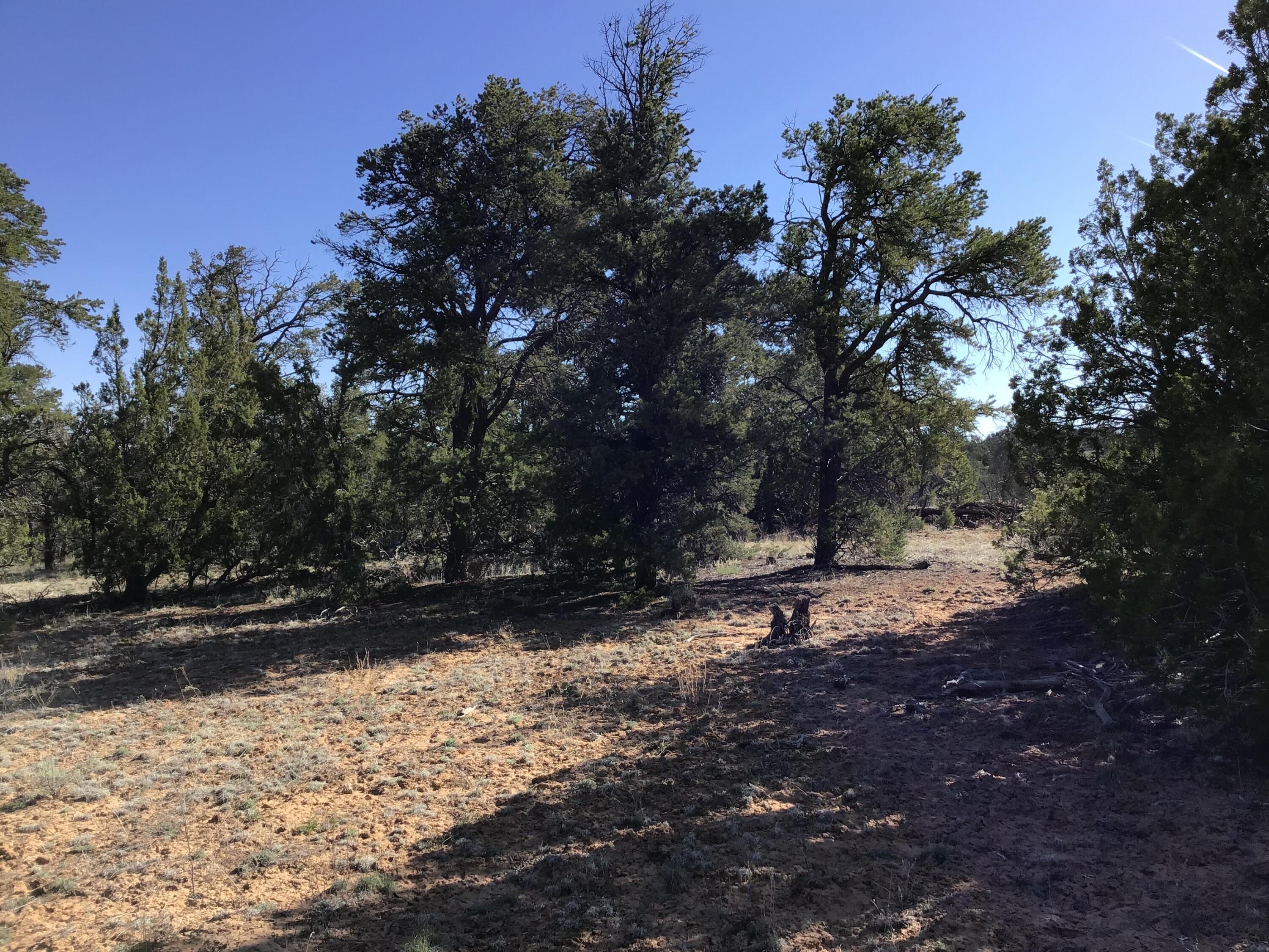 Lot 300 Edgewood Drive, Ramah, New Mexico 87321, ,Land,For Sale,Lot 300 Edgewood Drive,1059530