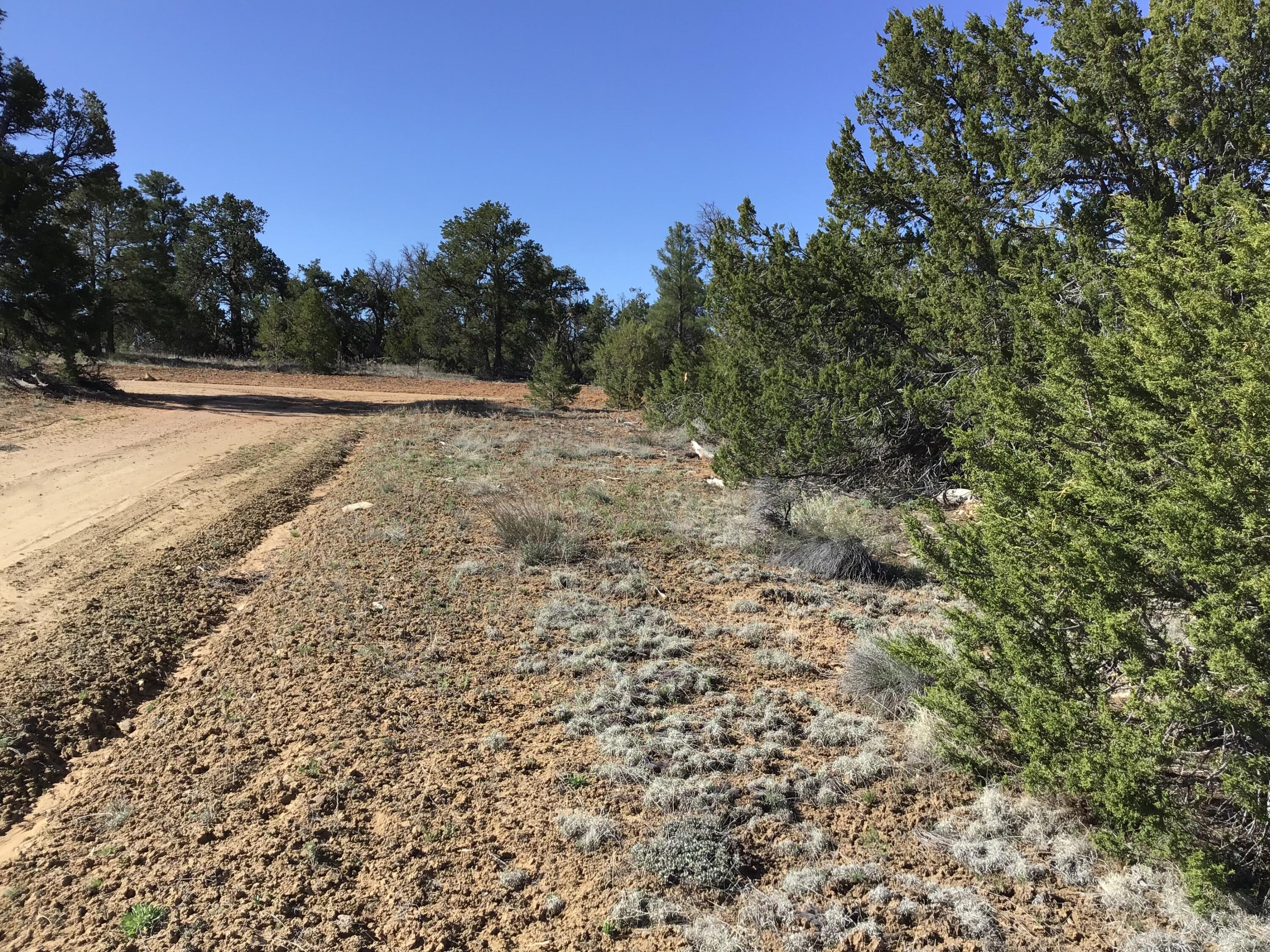 Lot 300 Edgewood Drive, Ramah, New Mexico 87321, ,Land,For Sale,Lot 300 Edgewood Drive,1059530