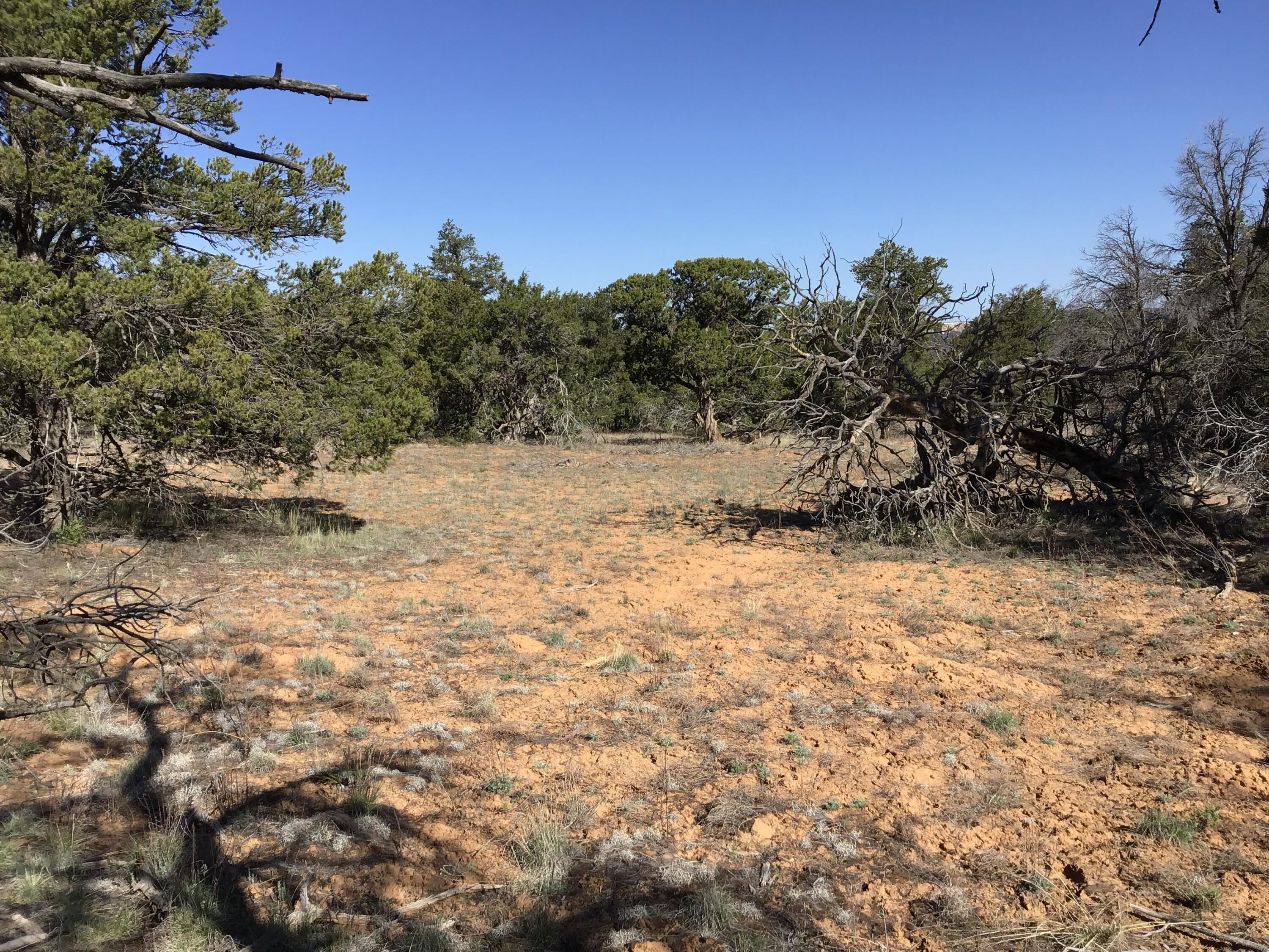 Lot 300 Edgewood Drive, Ramah, New Mexico 87321, ,Land,For Sale,Lot 300 Edgewood Drive,1059530