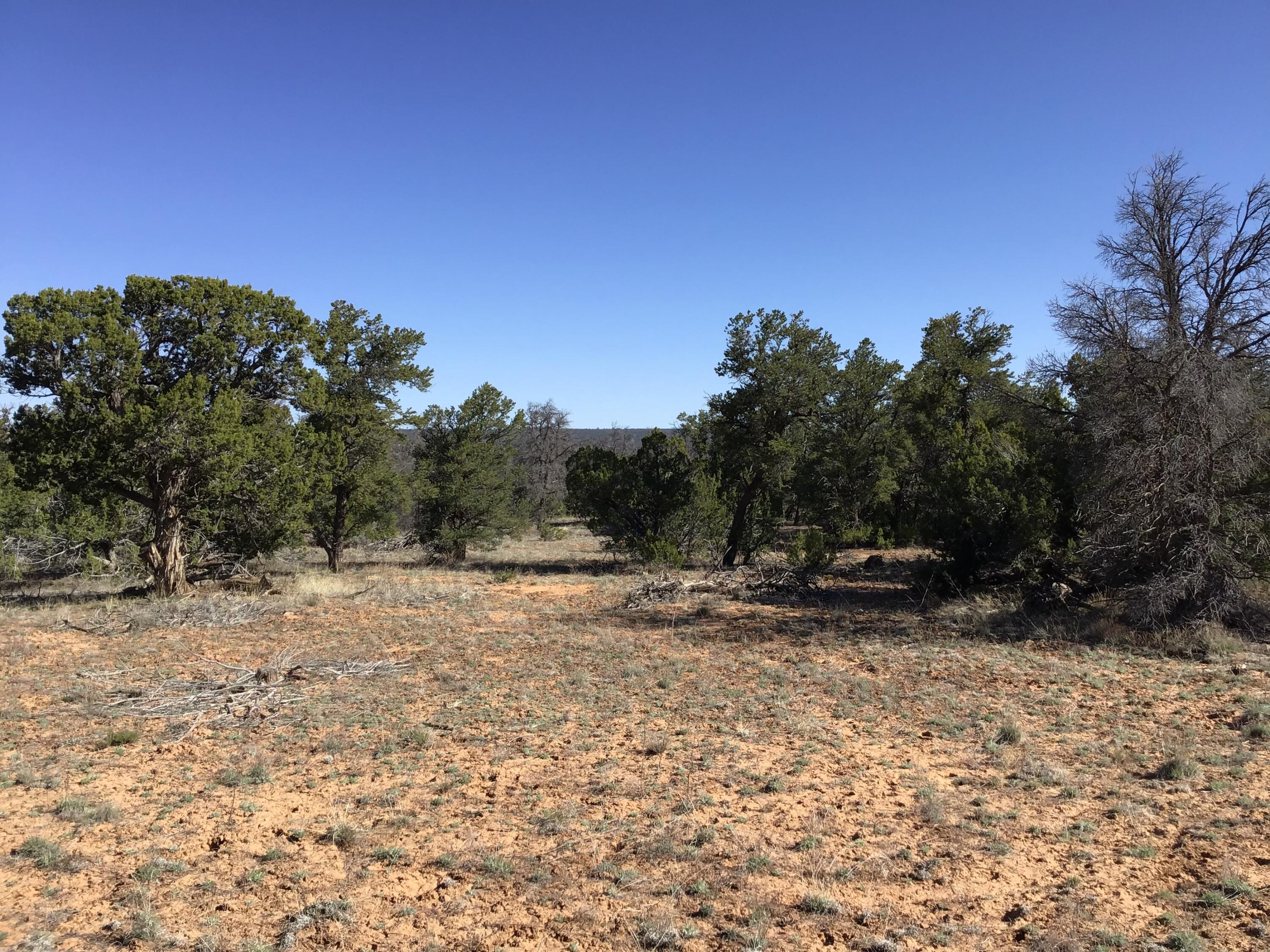 Lot 300 Edgewood Drive, Ramah, New Mexico 87321, ,Land,For Sale,Lot 300 Edgewood Drive,1059530