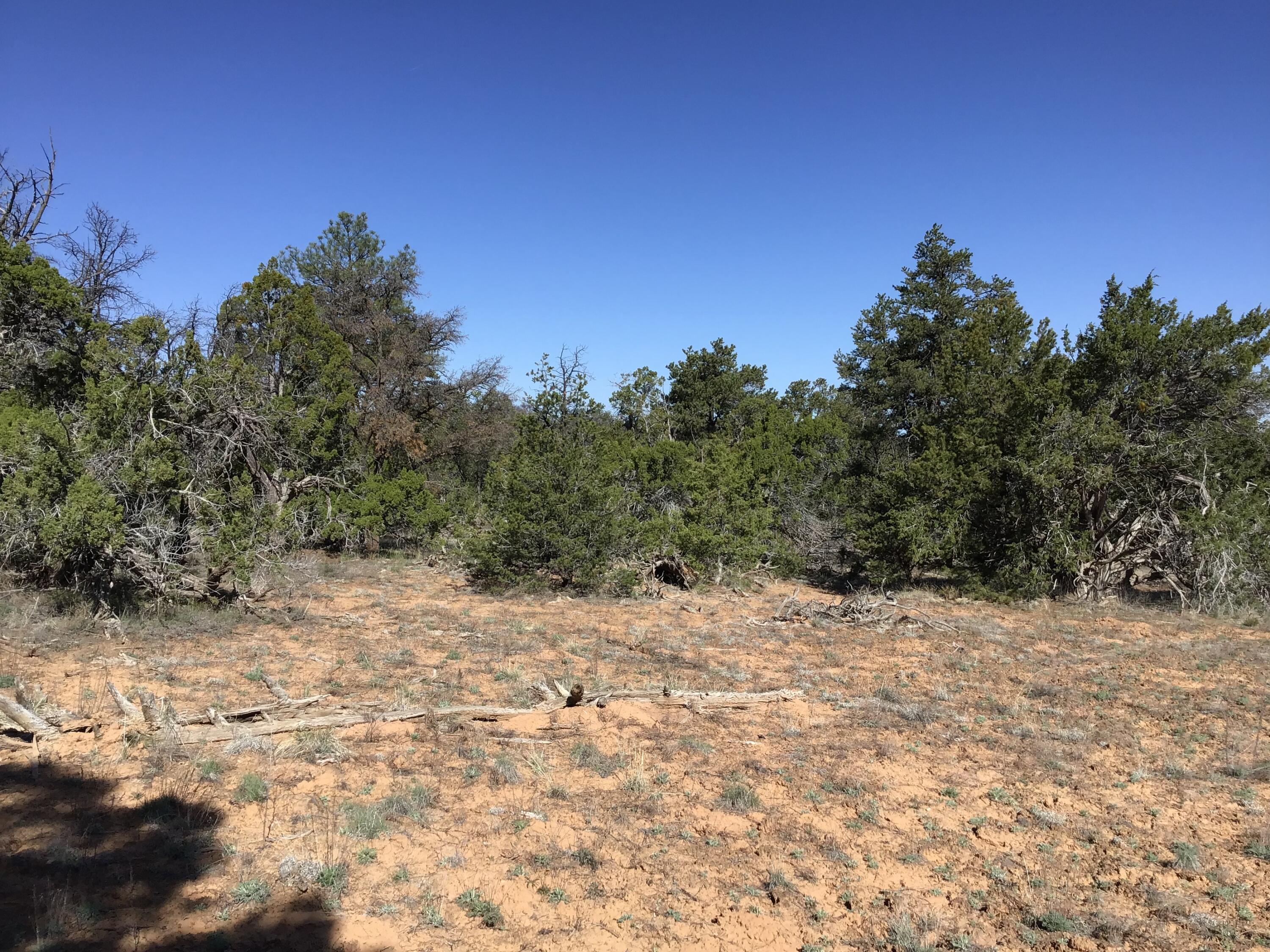 Lot 300 Edgewood Drive, Ramah, New Mexico 87321, ,Land,For Sale,Lot 300 Edgewood Drive,1059530