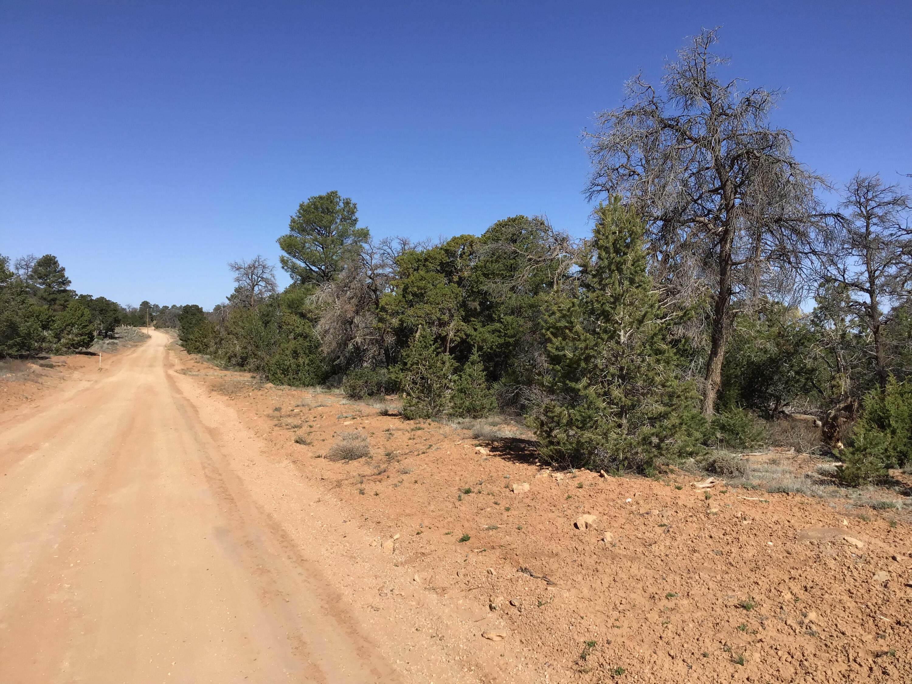 Lot 300 Edgewood Drive, Ramah, New Mexico 87321, ,Land,For Sale,Lot 300 Edgewood Drive,1059530