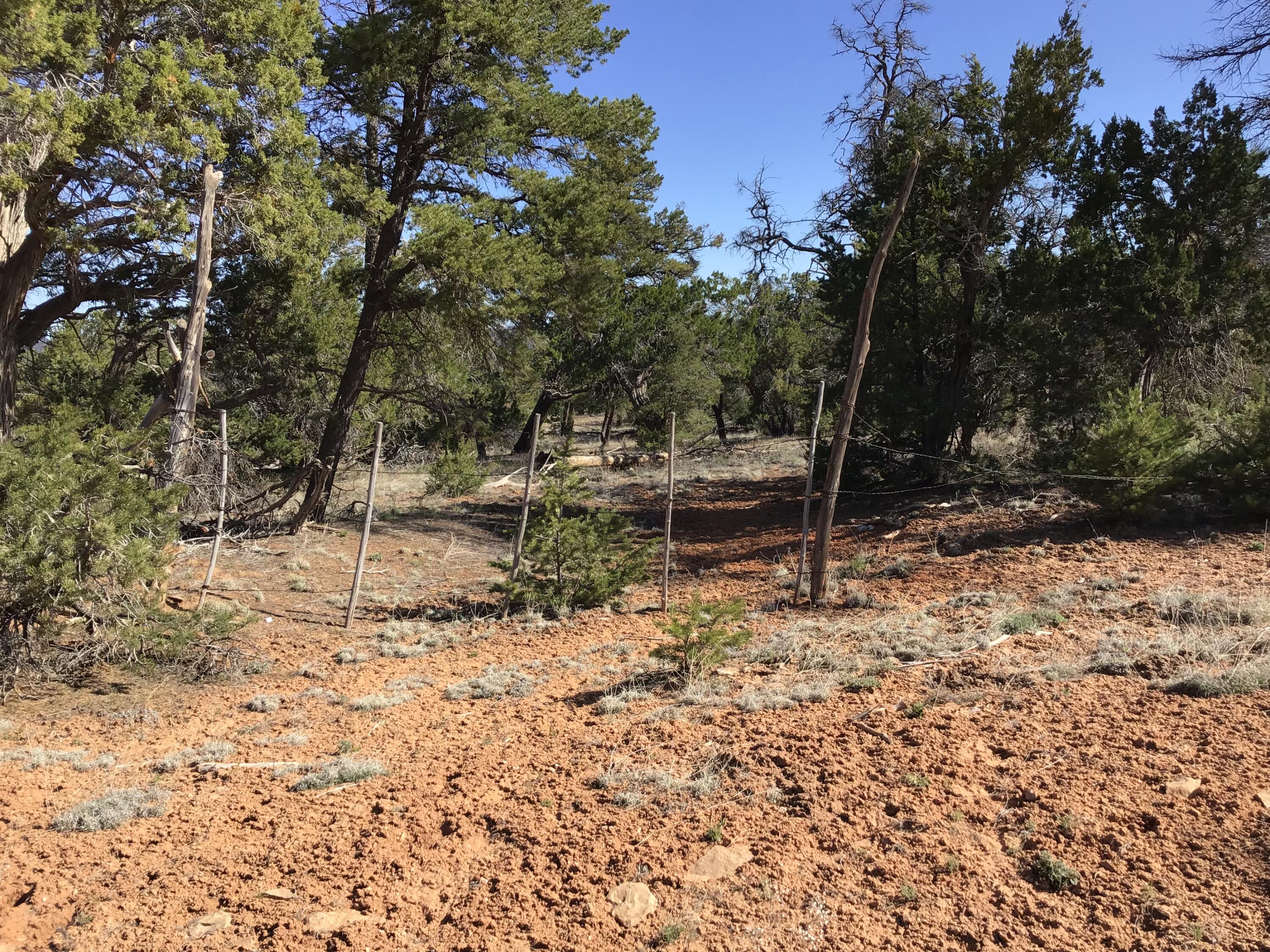 Lot 300 Edgewood Drive, Ramah, New Mexico 87321, ,Land,For Sale,Lot 300 Edgewood Drive,1059530