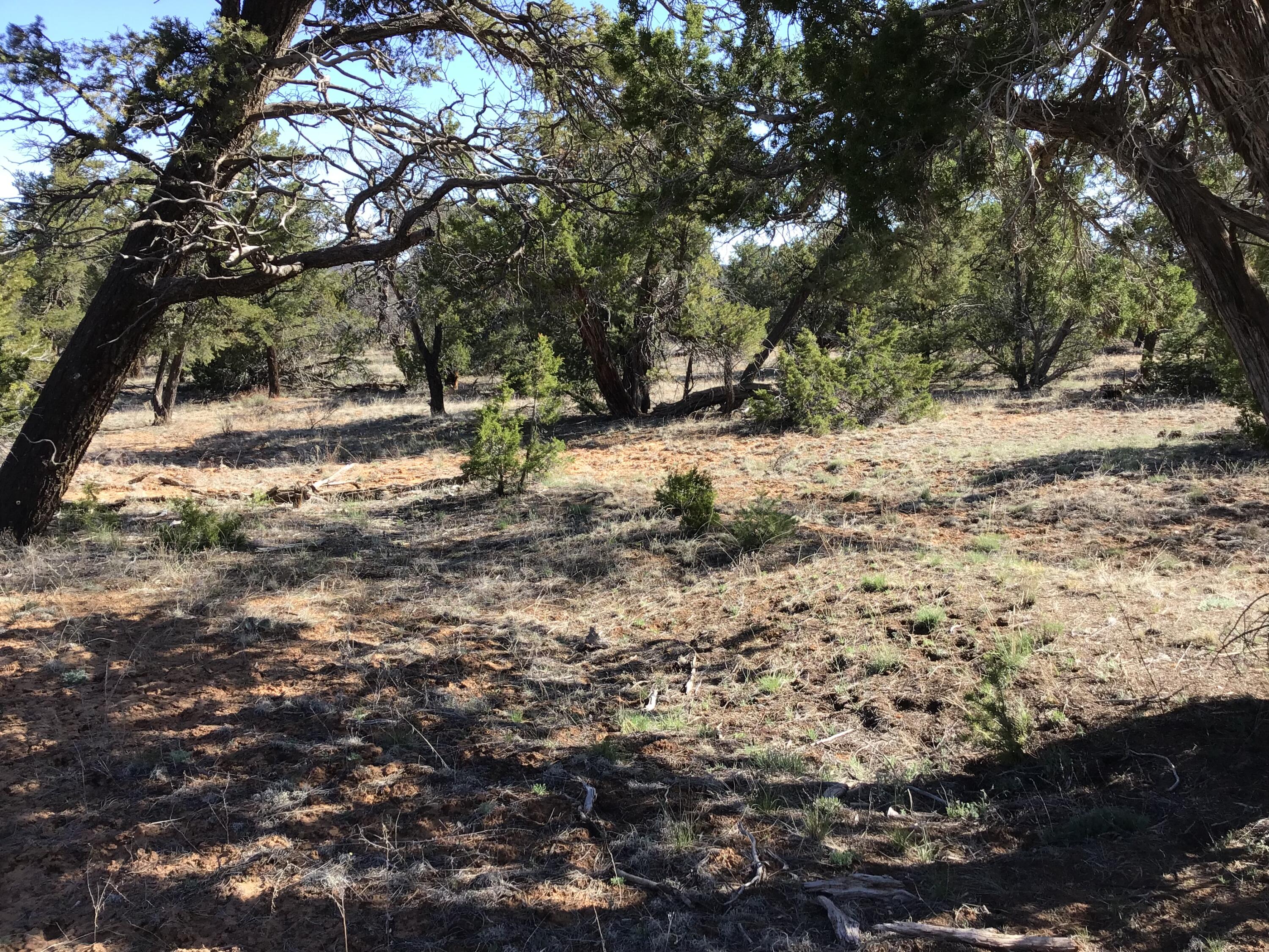 Lot 300 Edgewood Drive, Ramah, New Mexico 87321, ,Land,For Sale,Lot 300 Edgewood Drive,1059530