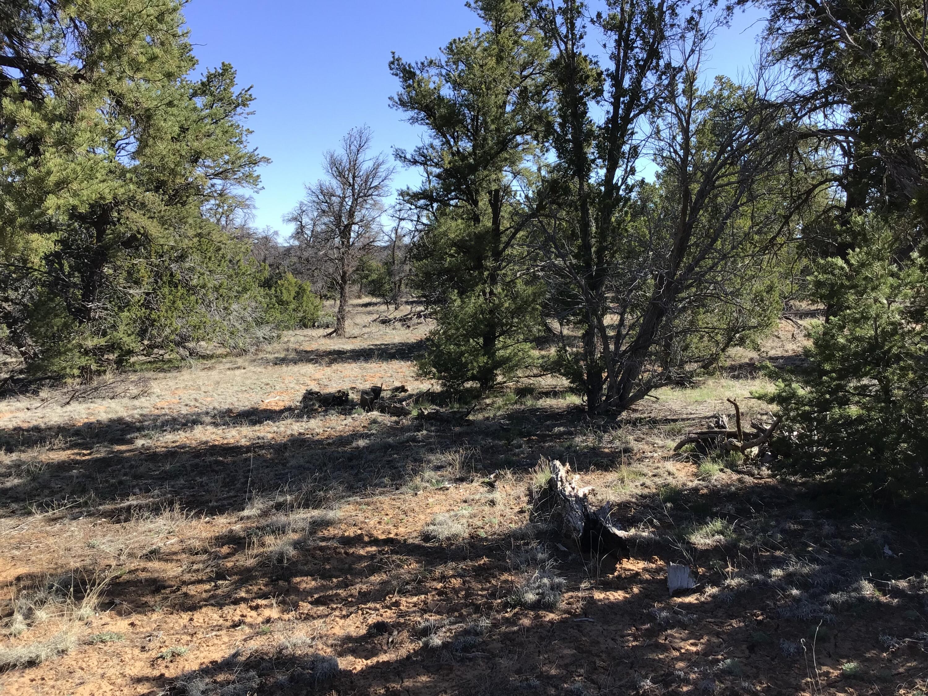 Lot 300 Edgewood Drive, Ramah, New Mexico 87321, ,Land,For Sale,Lot 300 Edgewood Drive,1059530