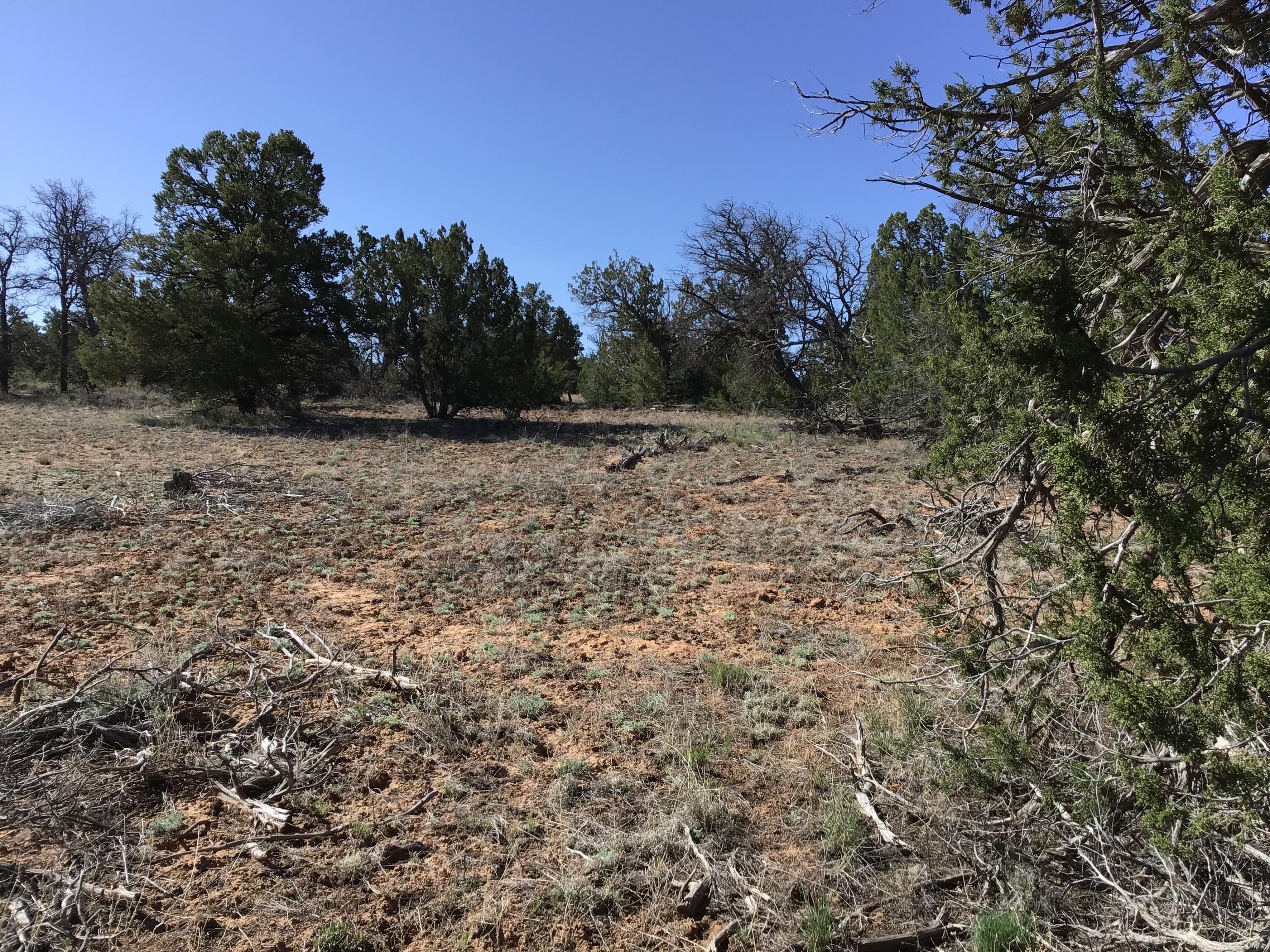 Lot 300 Edgewood Drive, Ramah, New Mexico 87321, ,Land,For Sale,Lot 300 Edgewood Drive,1059530