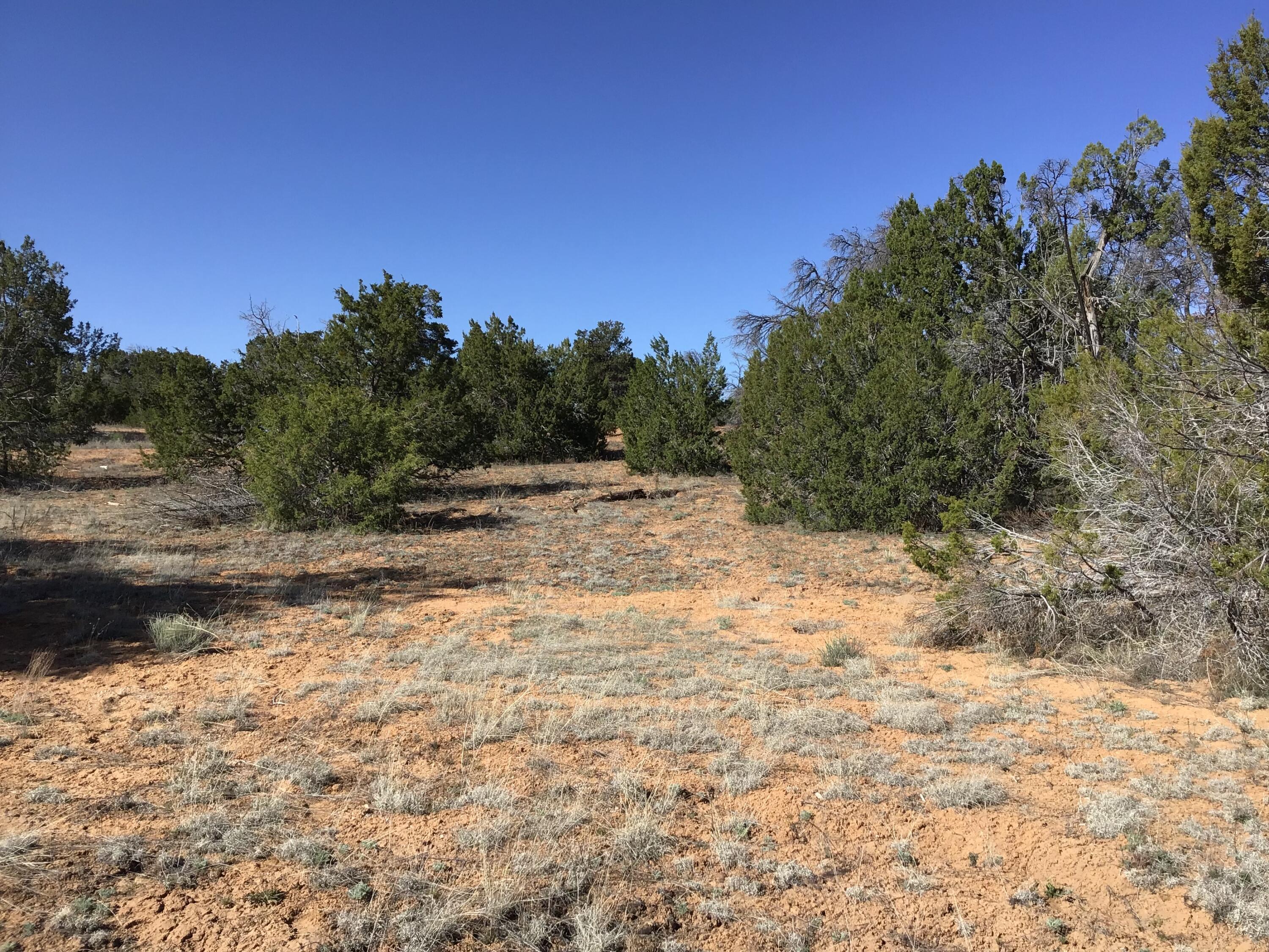 Lot 300 Edgewood Drive, Ramah, New Mexico 87321, ,Land,For Sale,Lot 300 Edgewood Drive,1059530