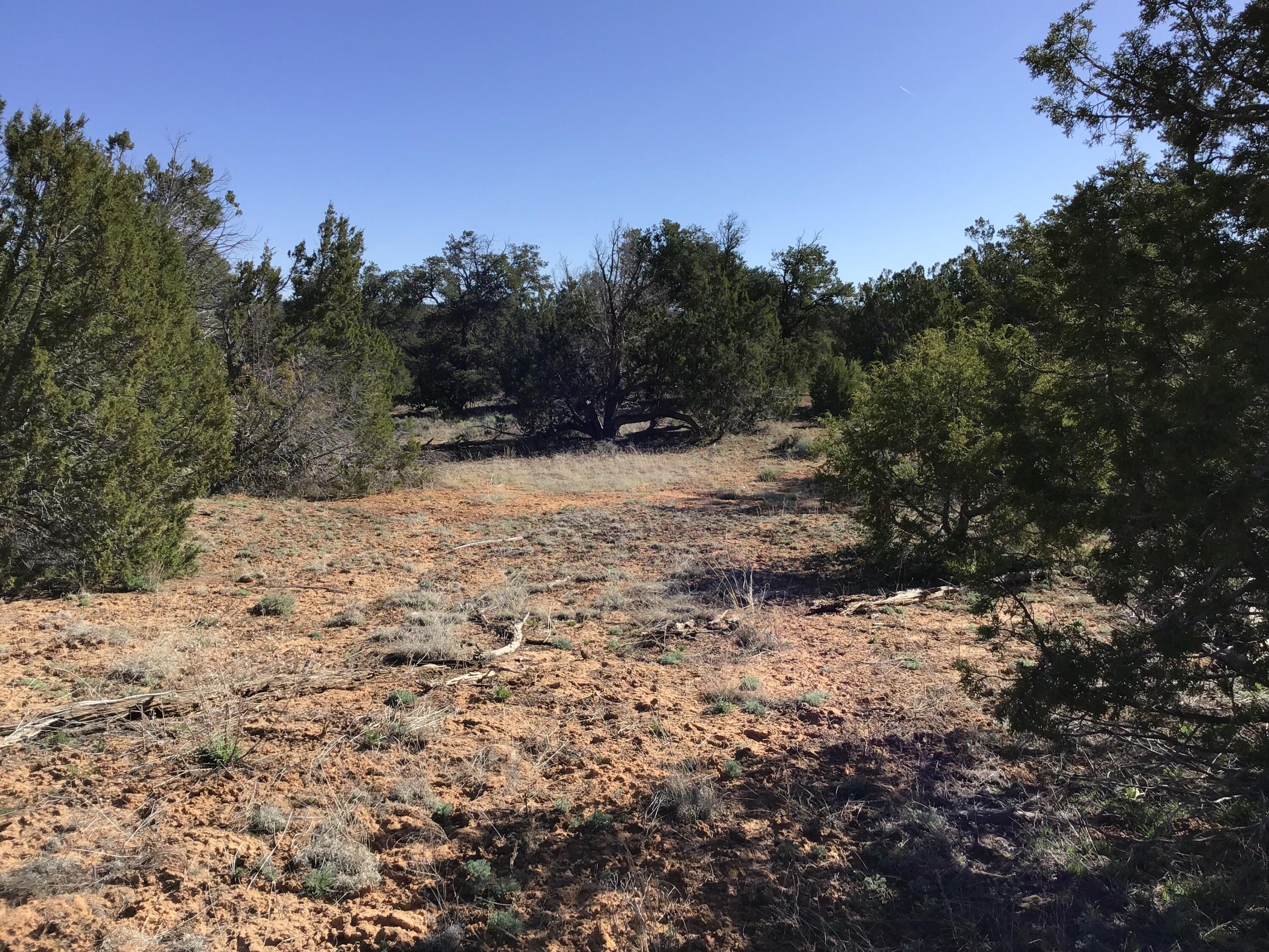 Lot 300 Edgewood Drive, Ramah, New Mexico 87321, ,Land,For Sale,Lot 300 Edgewood Drive,1059530