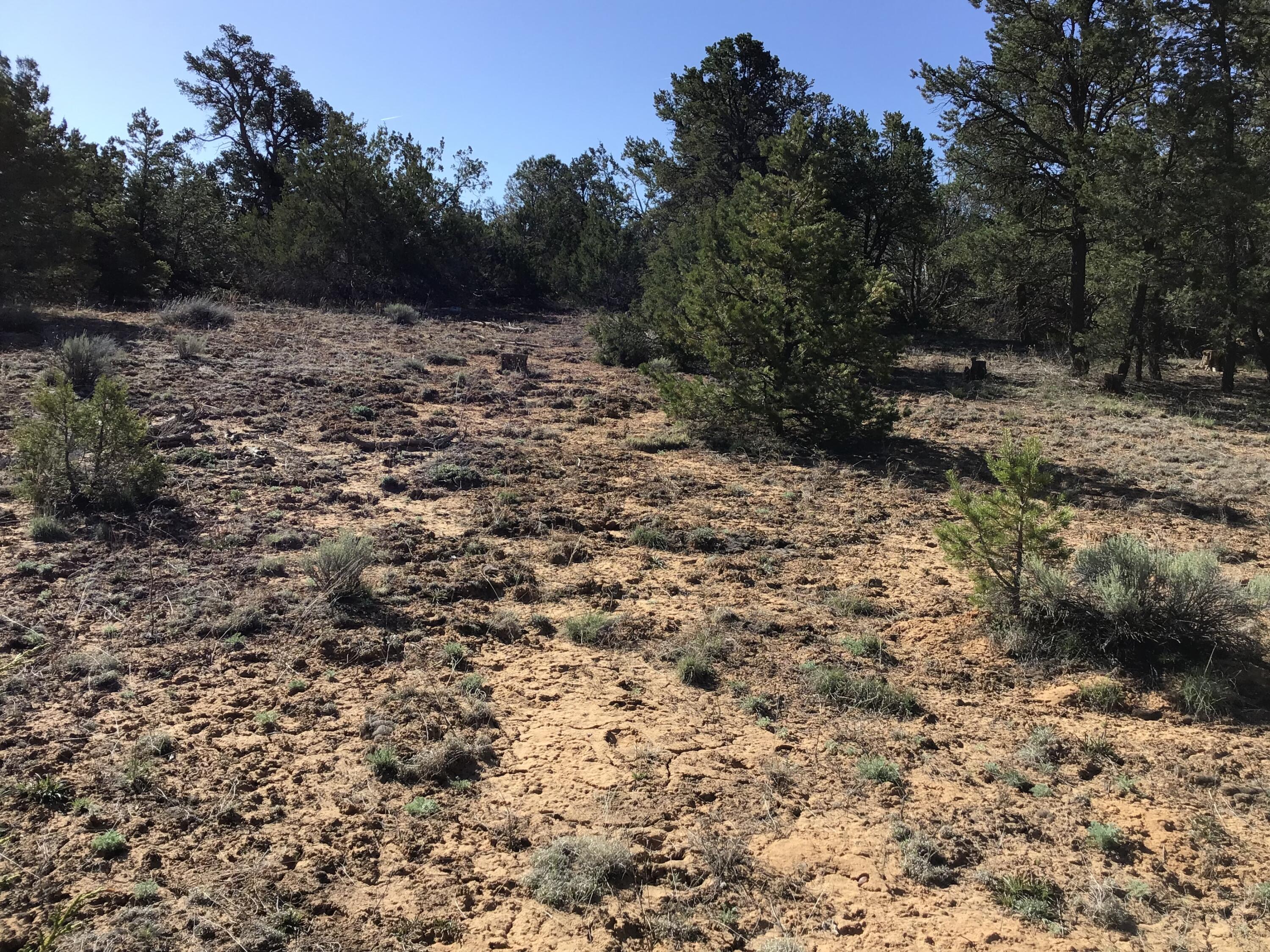 Lot 300 Edgewood Drive, Ramah, New Mexico 87321, ,Land,For Sale,Lot 300 Edgewood Drive,1059530