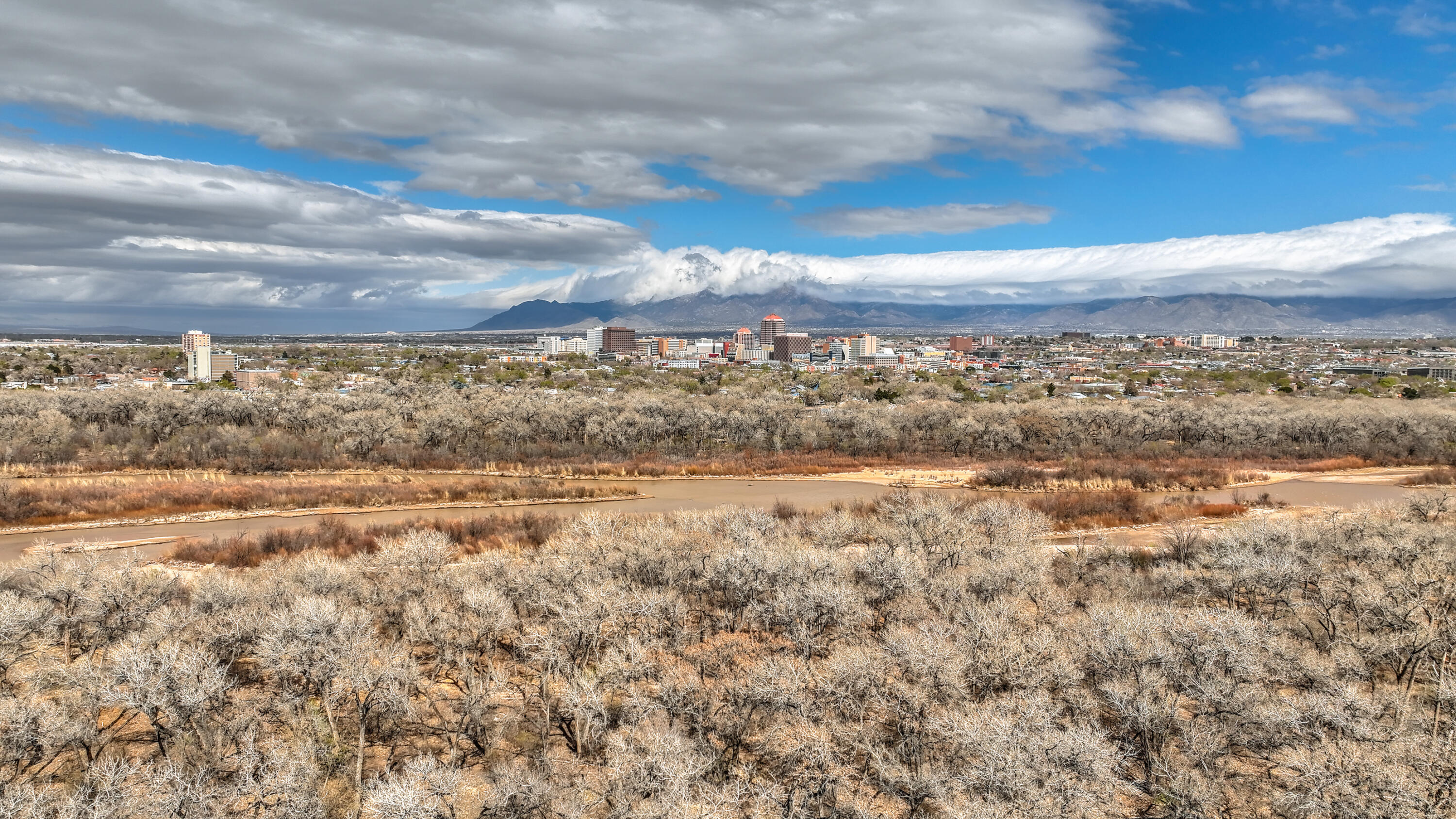 1203 Trujillo Road SW, Albuquerque, New Mexico 87105, 2 Bedrooms Bedrooms, ,2 BathroomsBathrooms,Residential,For Sale,1203 Trujillo Road SW,1059531