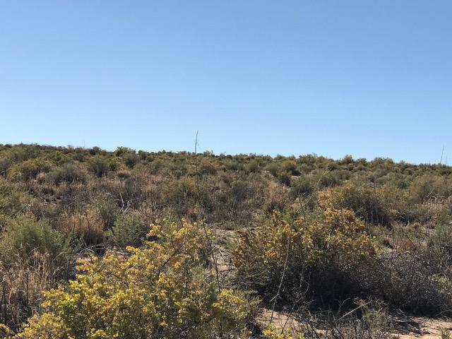 1109 Ventura Road SE, Rio Rancho, New Mexico 87124, ,Land,For Sale,1109 Ventura Road SE,1059536