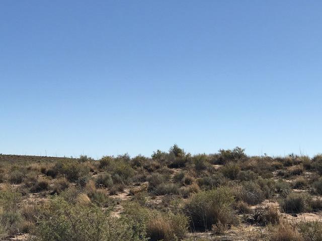 1109 Ventura Road SE, Rio Rancho, New Mexico 87124, ,Land,For Sale,1109 Ventura Road SE,1059536