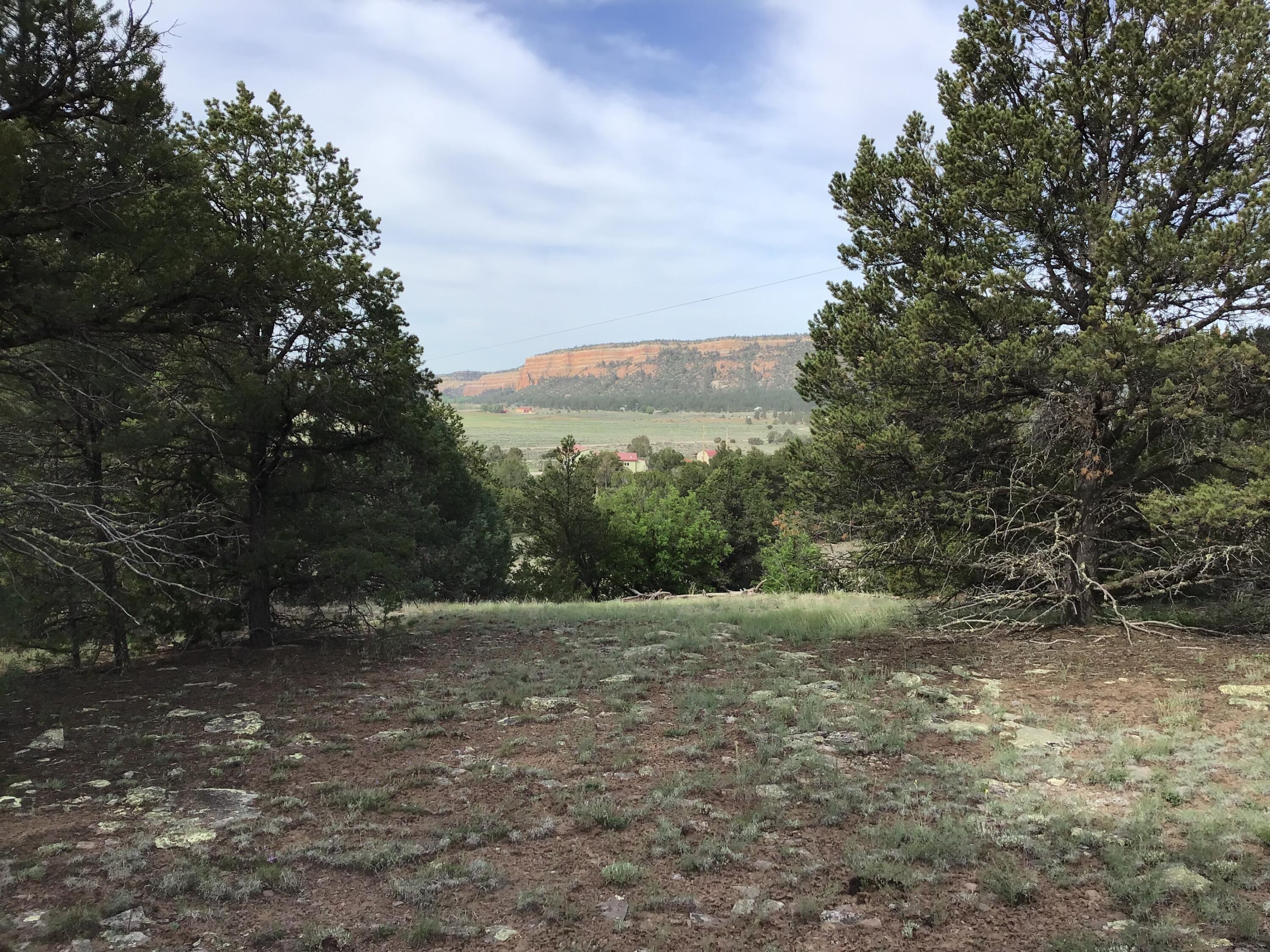 Lot 6 Sunflower Drive, Ramah, NM 