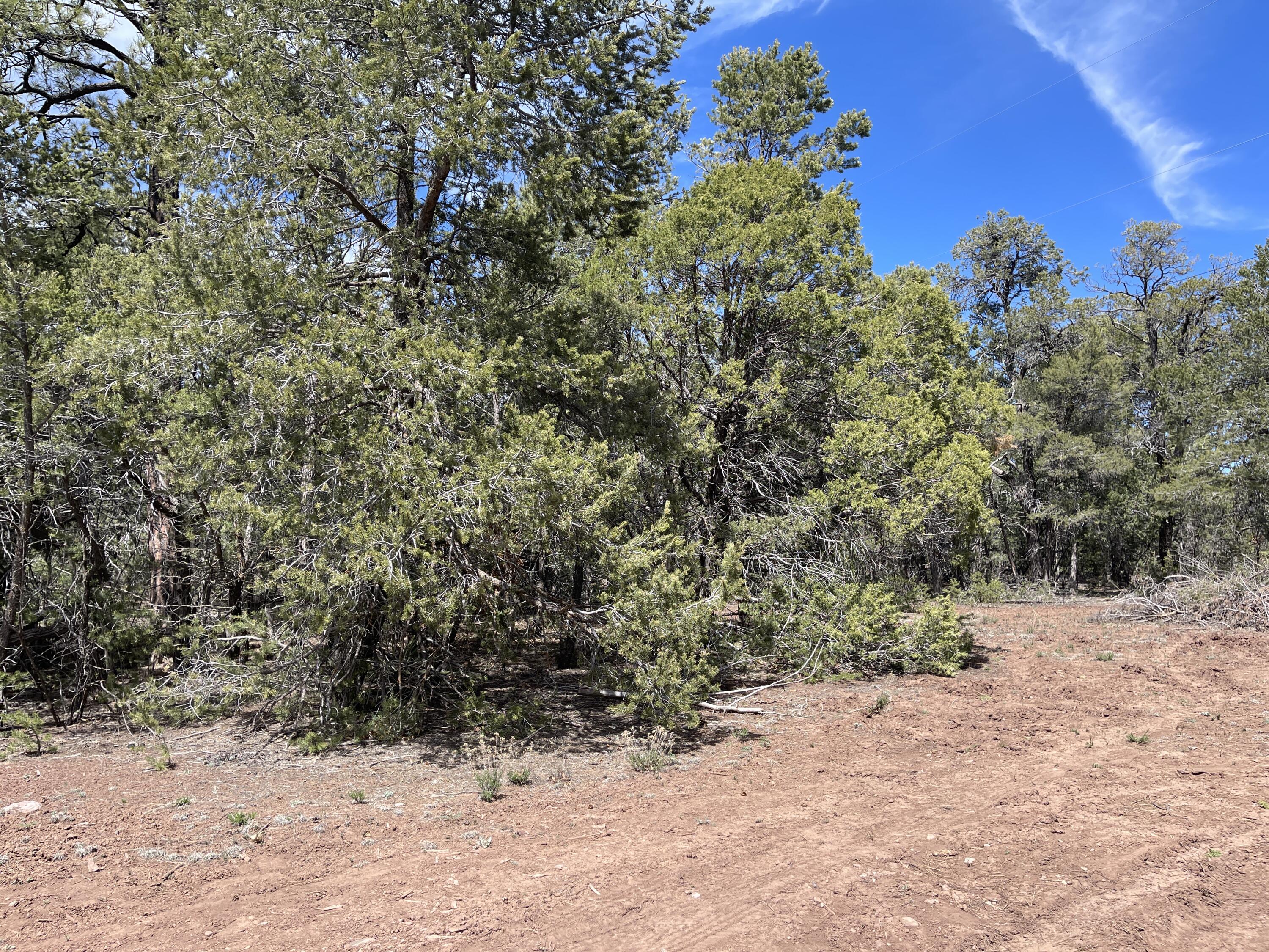 19 Big Dipper Road, Tijeras, New Mexico 87059, ,Land,For Sale,19 Big Dipper Road,1059582