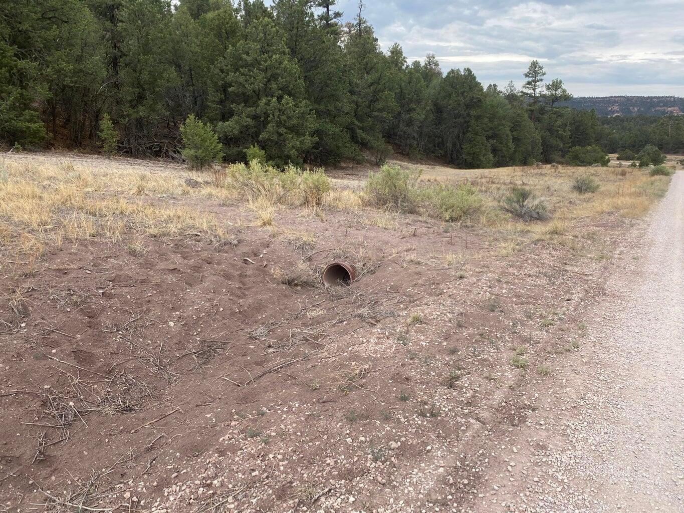 Lot 23 Sunflower Drive, Ramah, New Mexico 87321, ,Land,For Sale,Lot 23 Sunflower Drive,1059589