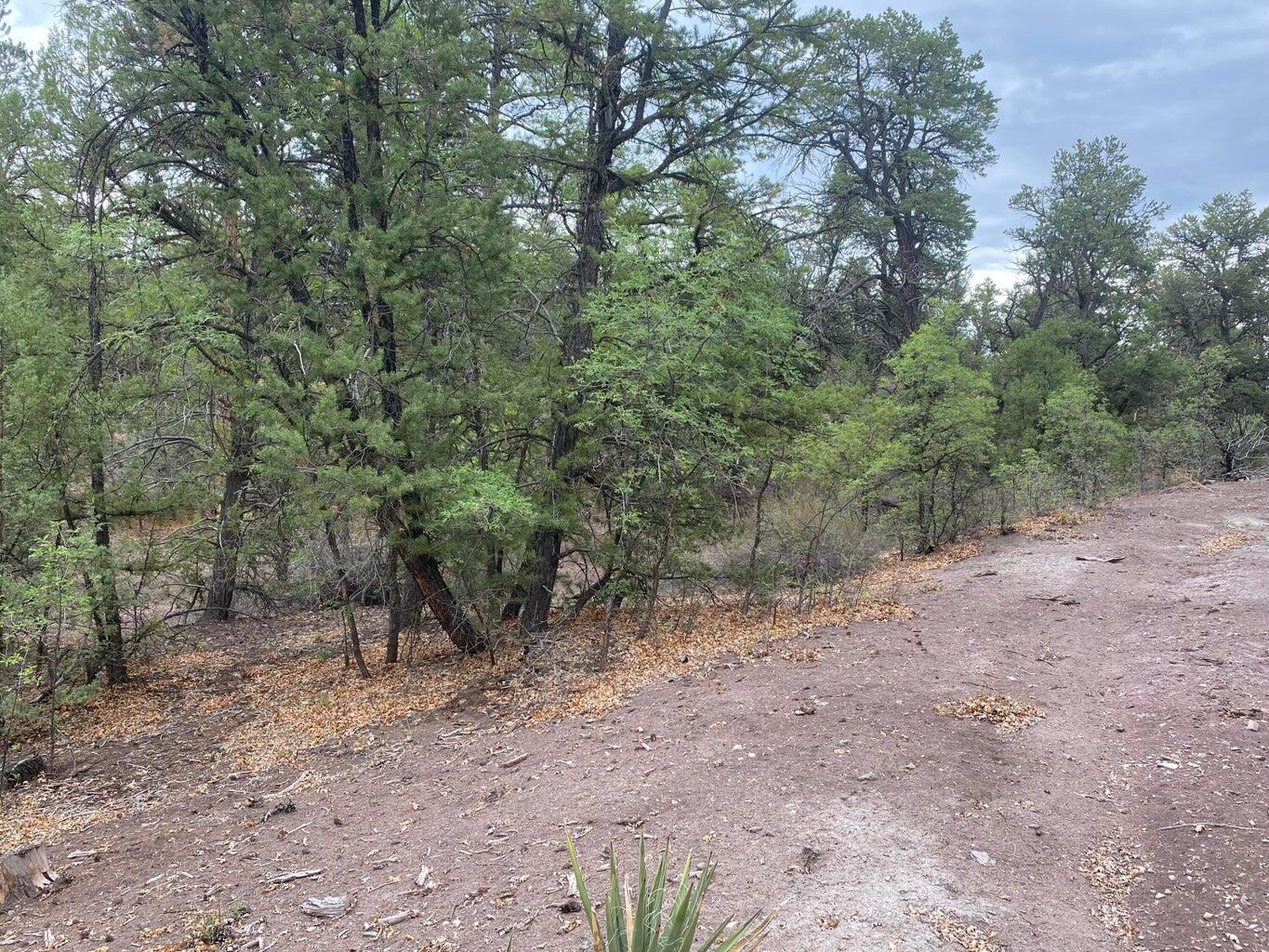 Lot 23 Sunflower Drive, Ramah, New Mexico 87321, ,Land,For Sale,Lot 23 Sunflower Drive,1059589