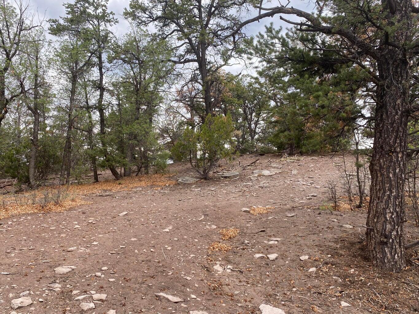 Lot 23 Sunflower Drive, Ramah, New Mexico 87321, ,Land,For Sale,Lot 23 Sunflower Drive,1059589