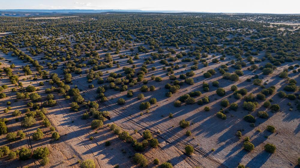 Portrillo Creek Ranch Lot 16, Santa Rosa, New Mexico 88435, ,Land,For Sale, Portrillo Creek Ranch Lot 16,1059595