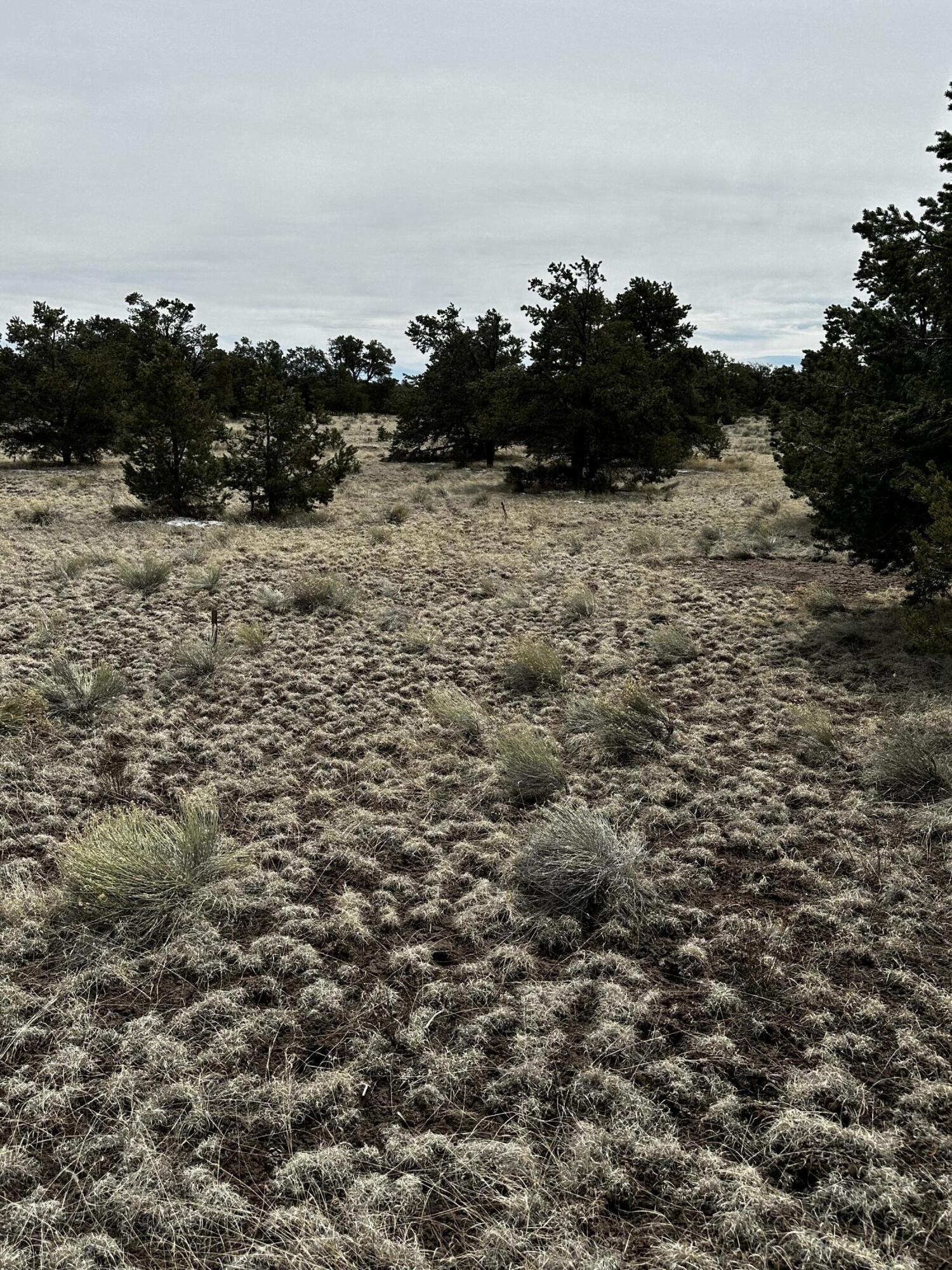 Xx Fountain Hills, Quemado, New Mexico 87829, ,Land,For Sale,Xx Fountain Hills,1059676