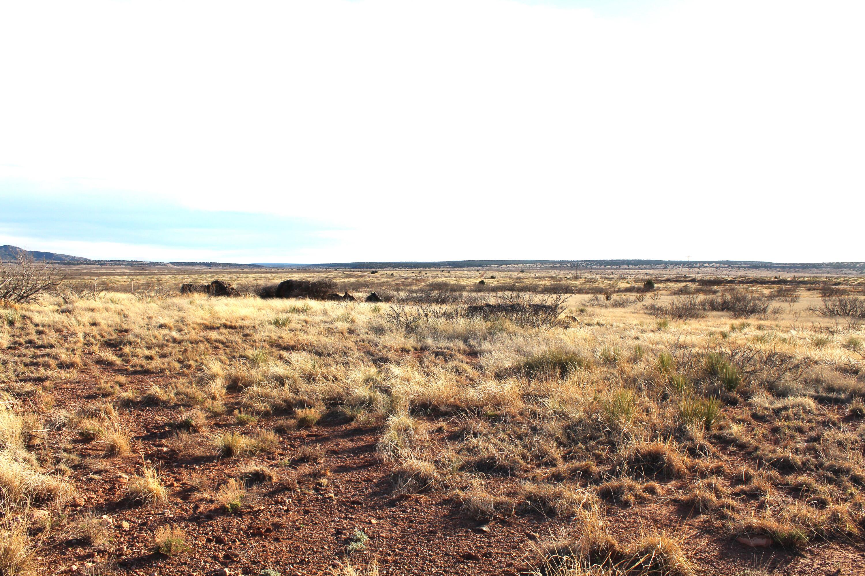 7306 Nm Highway 104, Conchas Dam, New Mexico 88416, ,Land,For Sale,7306 Nm Highway 104,1059709