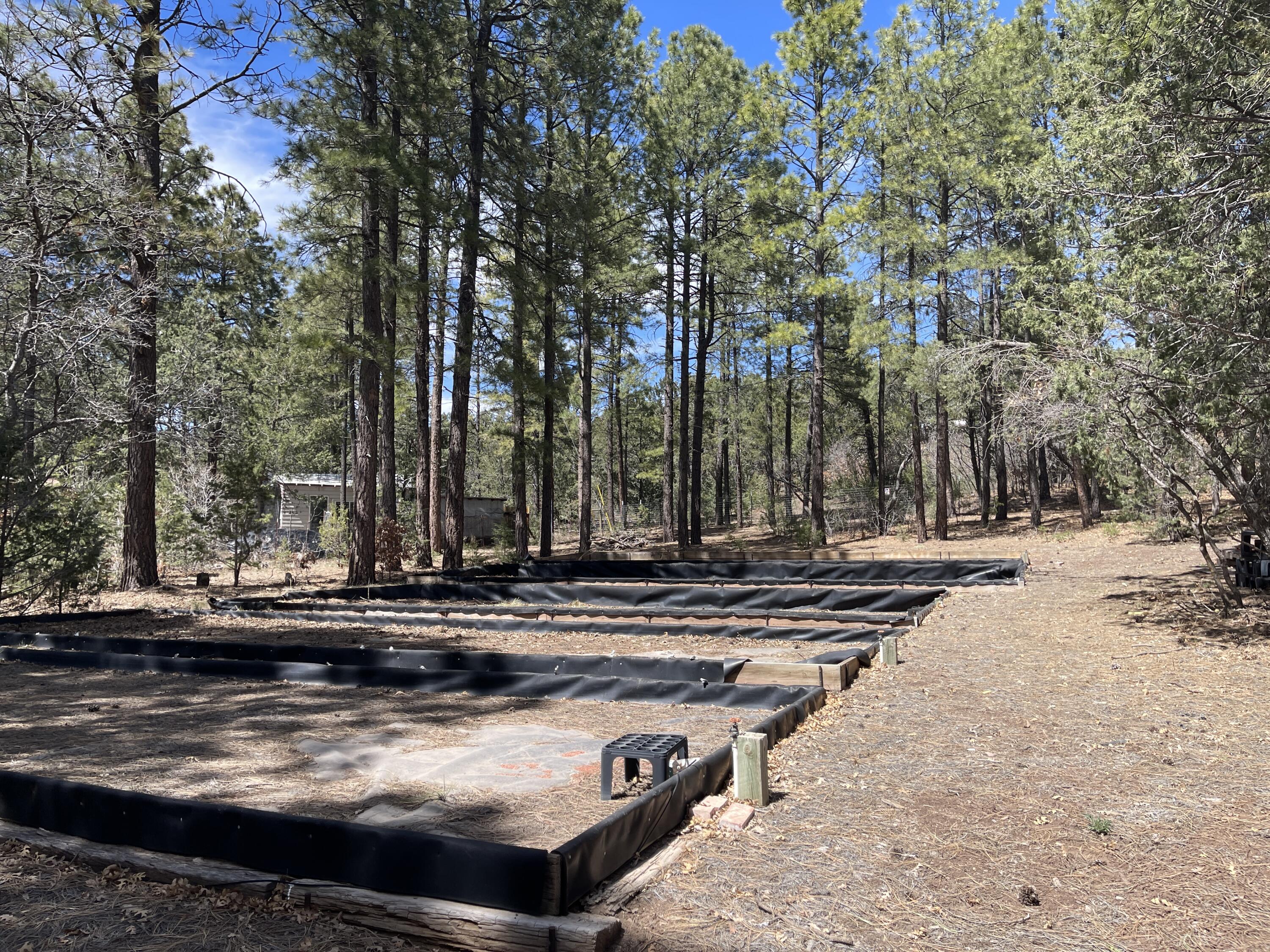 15 And 17 Big Dipper Road, Tijeras, New Mexico 87059, ,Land,For Sale,15 And 17 Big Dipper Road,1059727