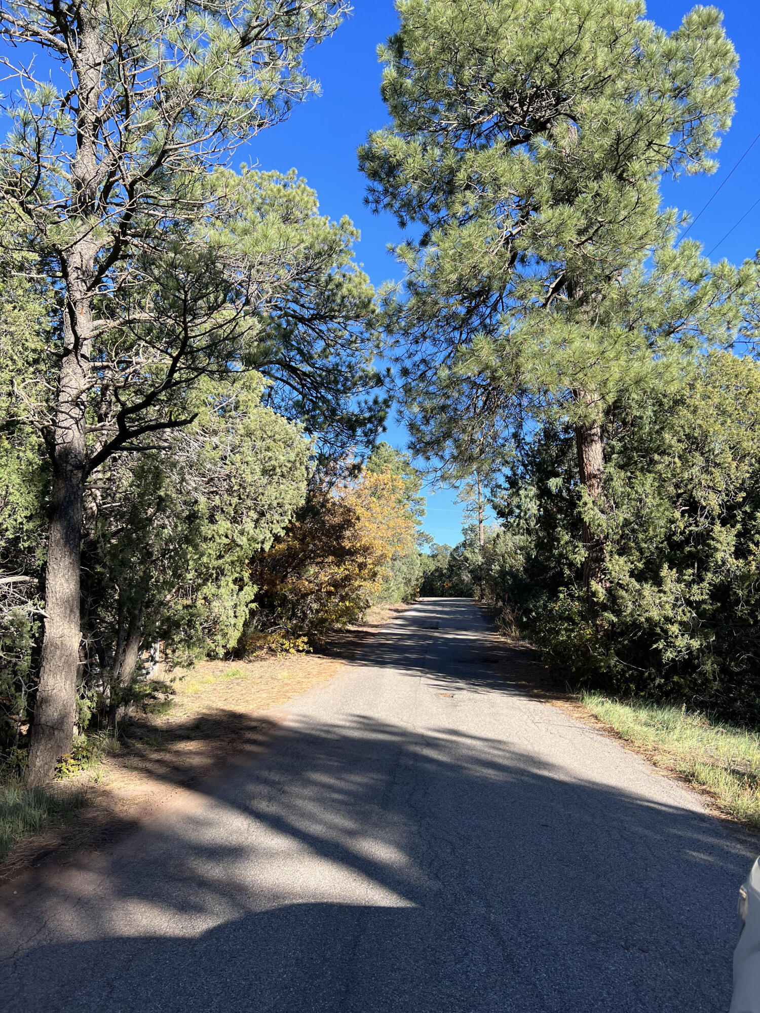 15 And 17 Big Dipper Road, Tijeras, New Mexico 87059, ,Land,For Sale,15 And 17 Big Dipper Road,1059727