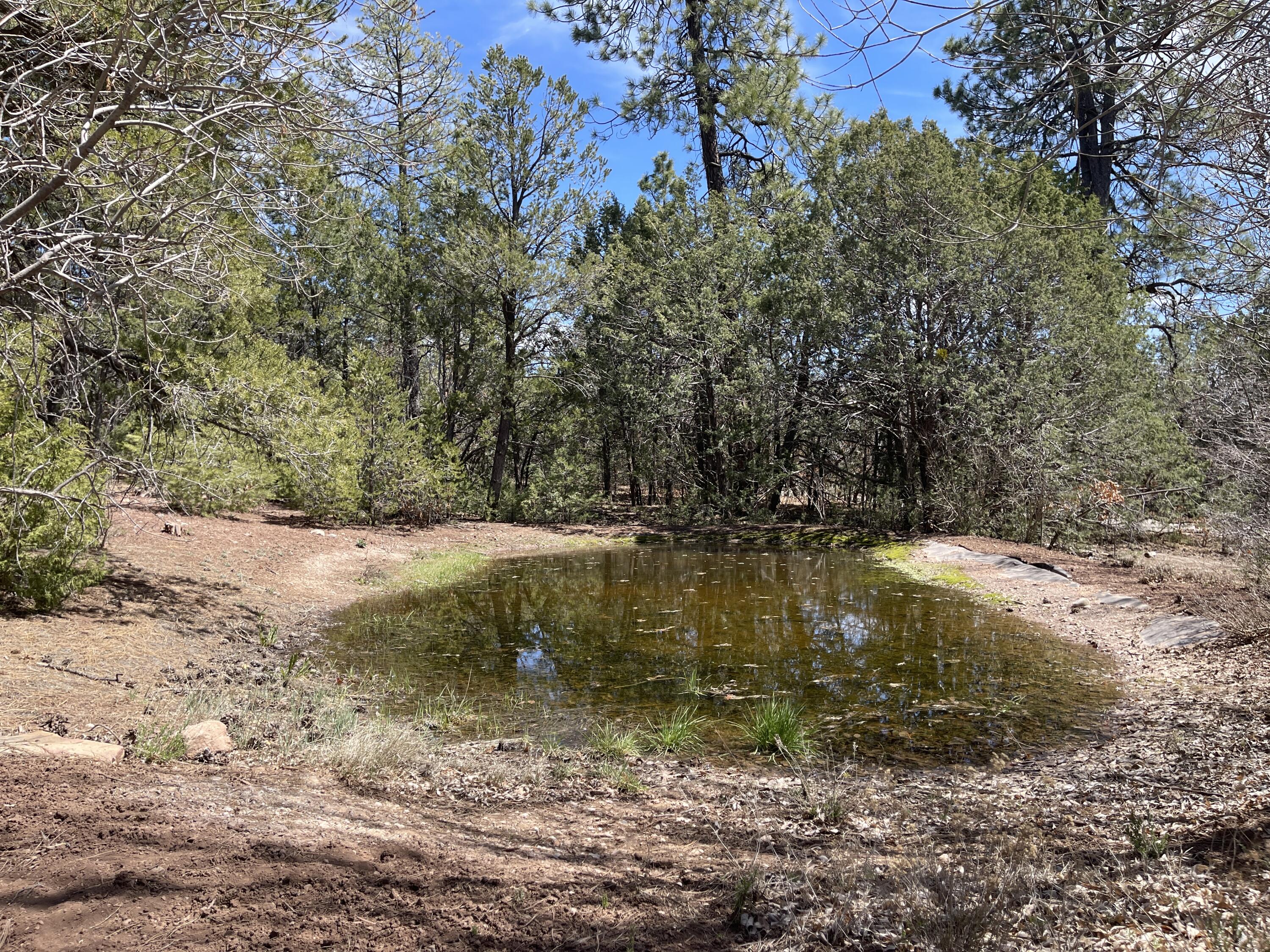 15 And 17 Big Dipper Road, Tijeras, New Mexico 87059, ,Land,For Sale,15 And 17 Big Dipper Road,1059727