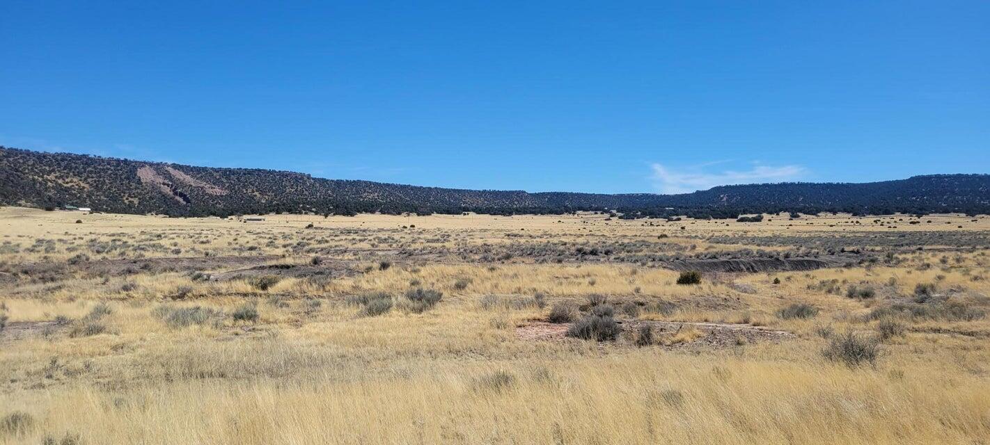 Airport, Quemado, New Mexico 87829, ,Land,For Sale, Airport,1059734