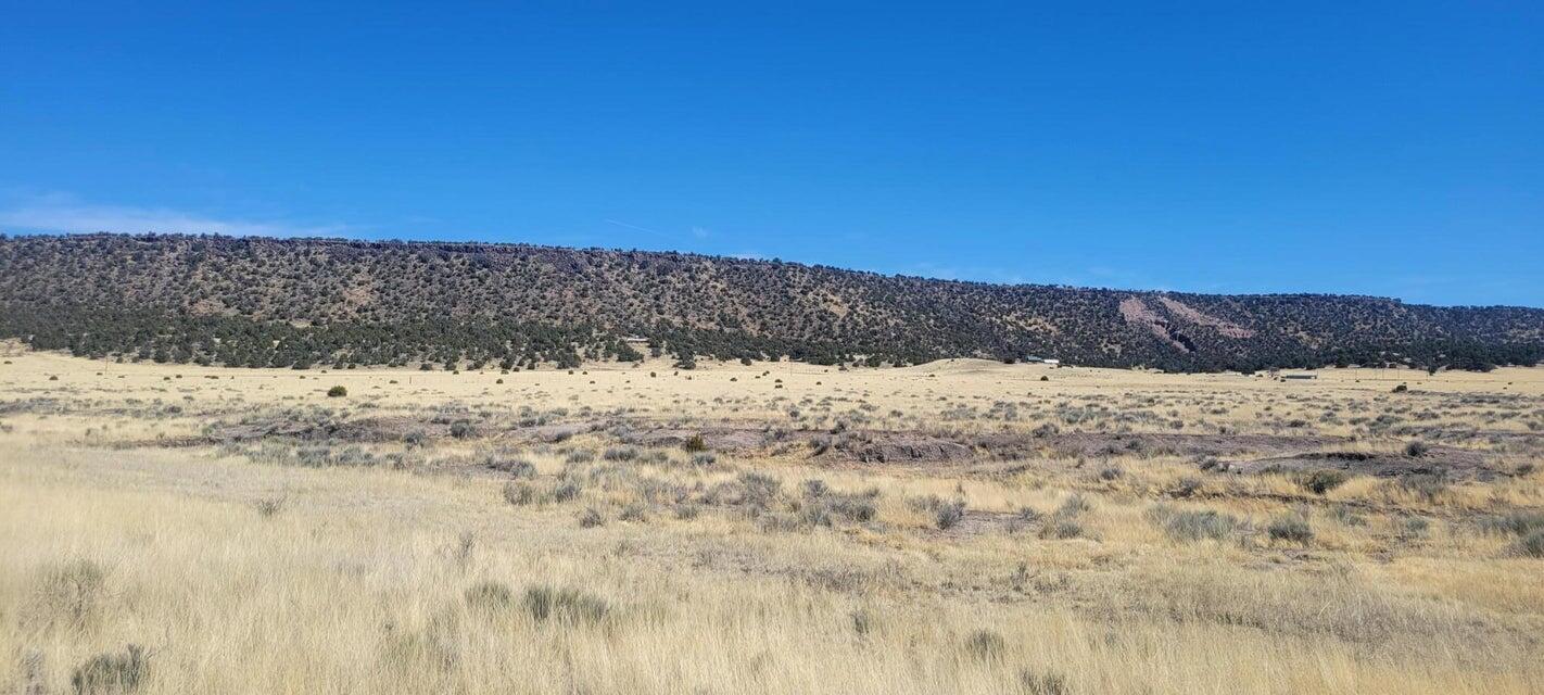 Airport, Quemado, New Mexico 87829, ,Land,For Sale, Airport,1059734