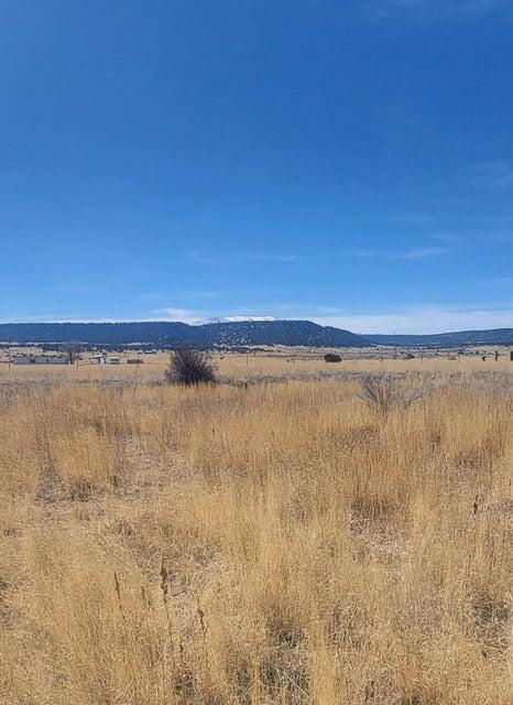 Xx Escudilla Drive, Quemado, New Mexico 87829, ,Land,For Sale,Xx Escudilla Drive,1059759